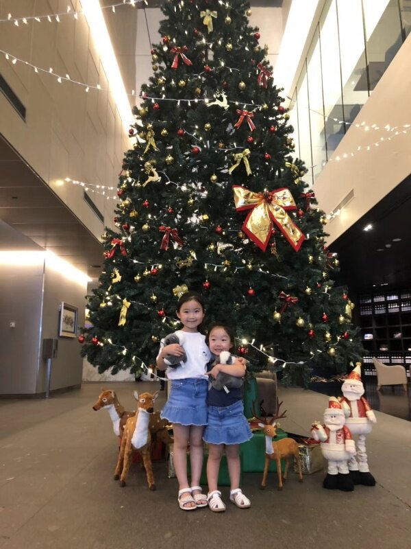 christmas-tree-zoe-and-ollie-with-koalas.jpg