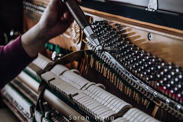 Some lovely photos of Zhu tuning a customer's new piano. Thank you @__sarah__wang 📸🙂 .
.
.

#piano #pianotuner #pianotuning #uprightpiano #pearlriverpiano #pianotechnician #pianoservice #pianophotography #classicalpiano