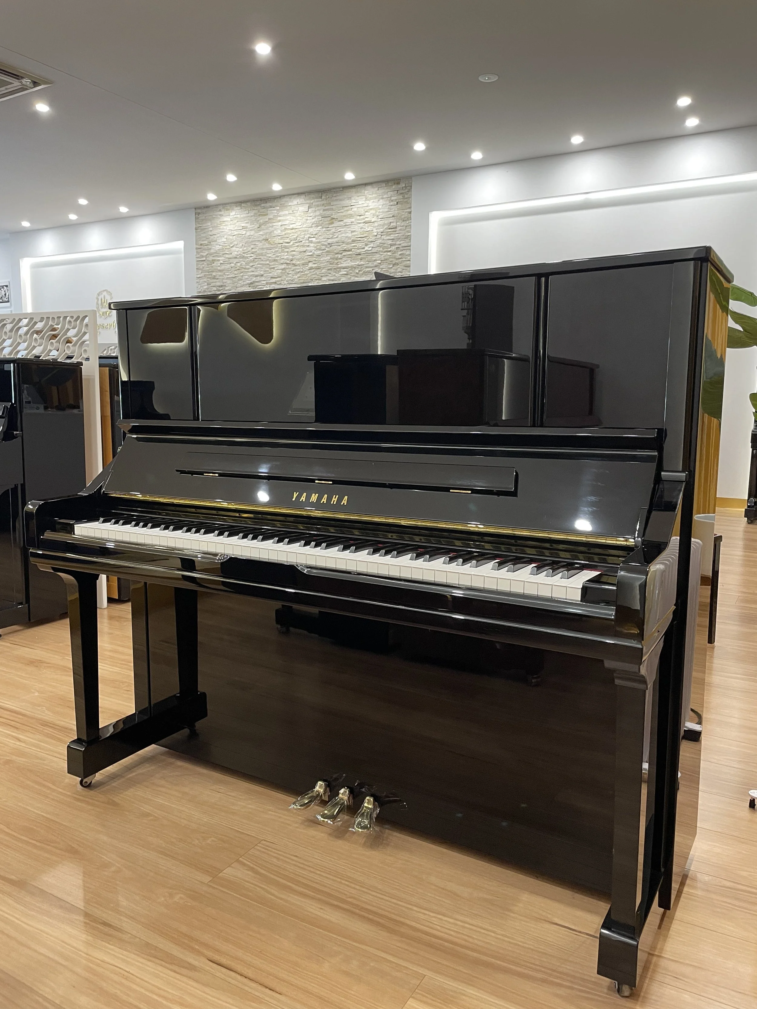 yamaha yu30 made in japan 2006 Arrived