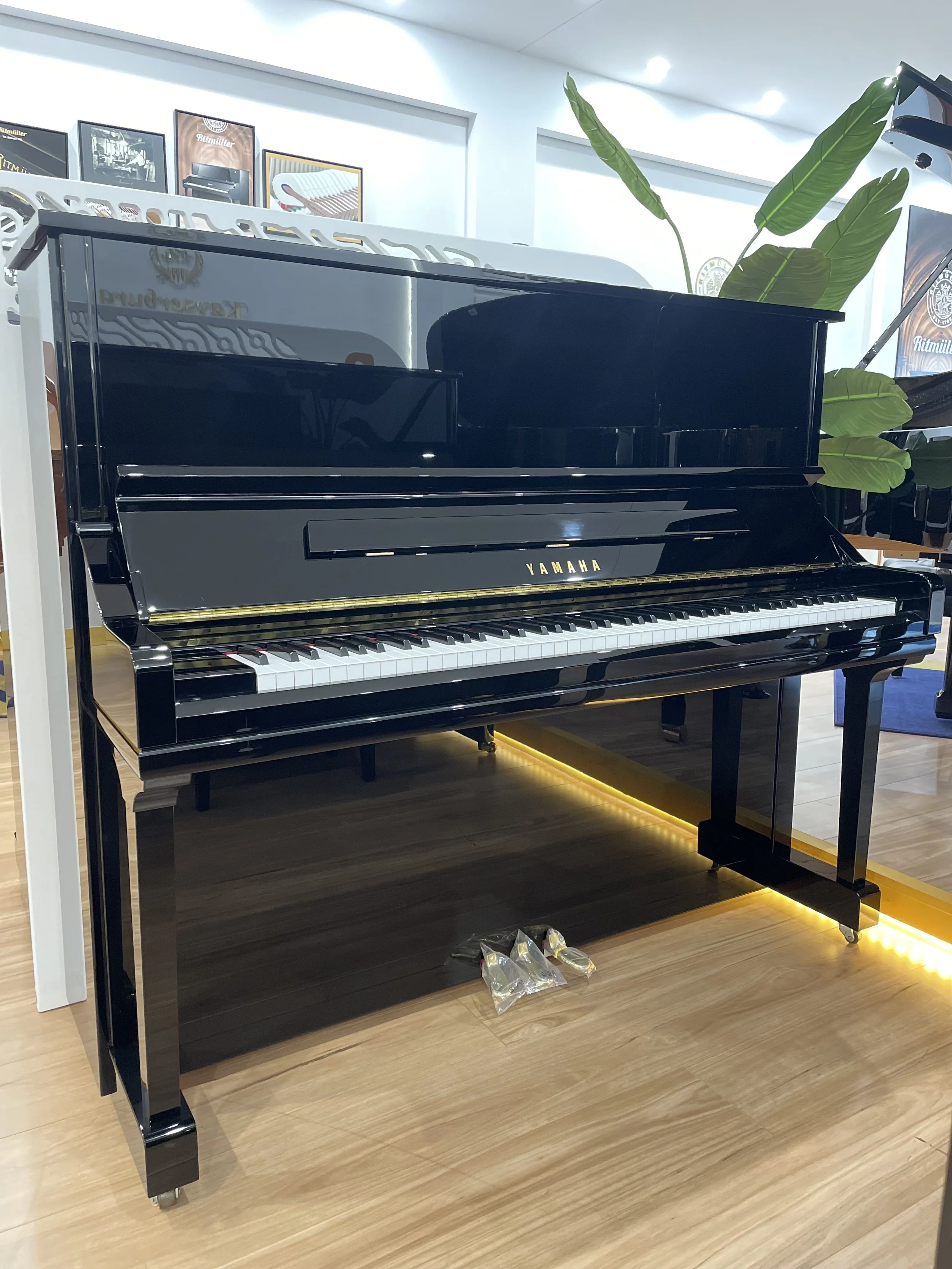 Yamaha Yu33 Display(Only 1)