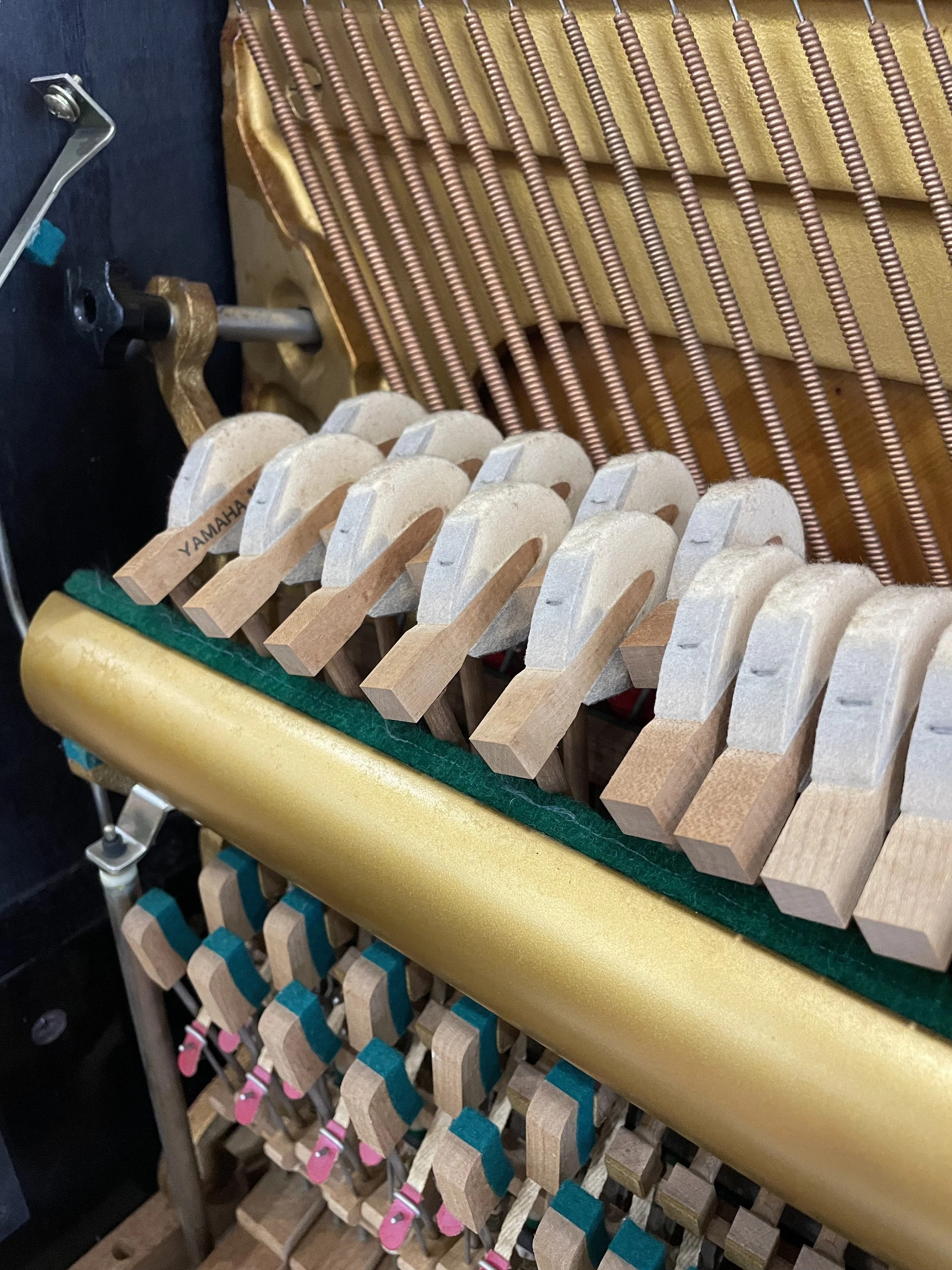 Image_20261009170929.jpg
