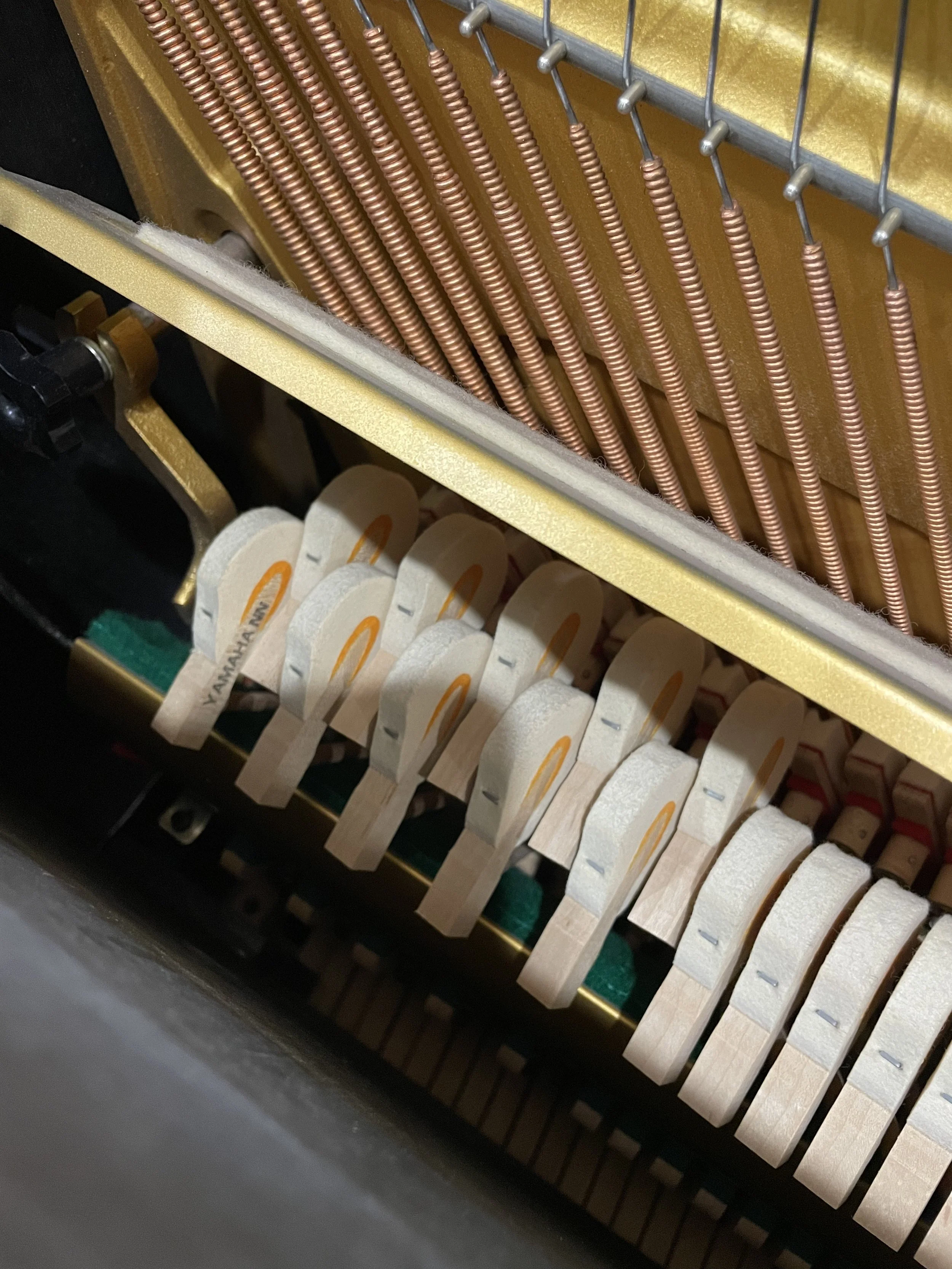 Image_20261020152723.jpg
