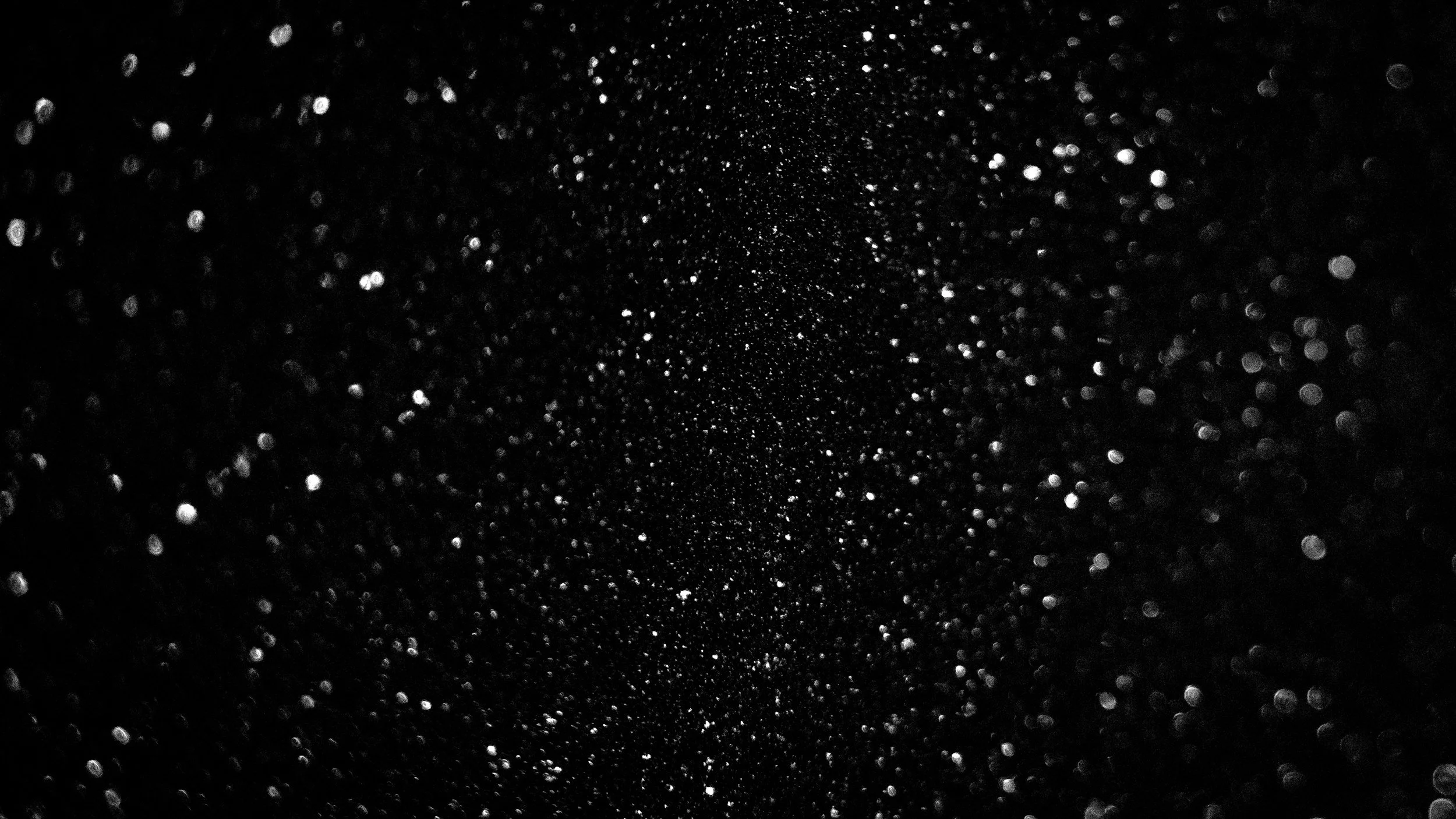 unsplash-image-vlK0DH_v0KU.jpg