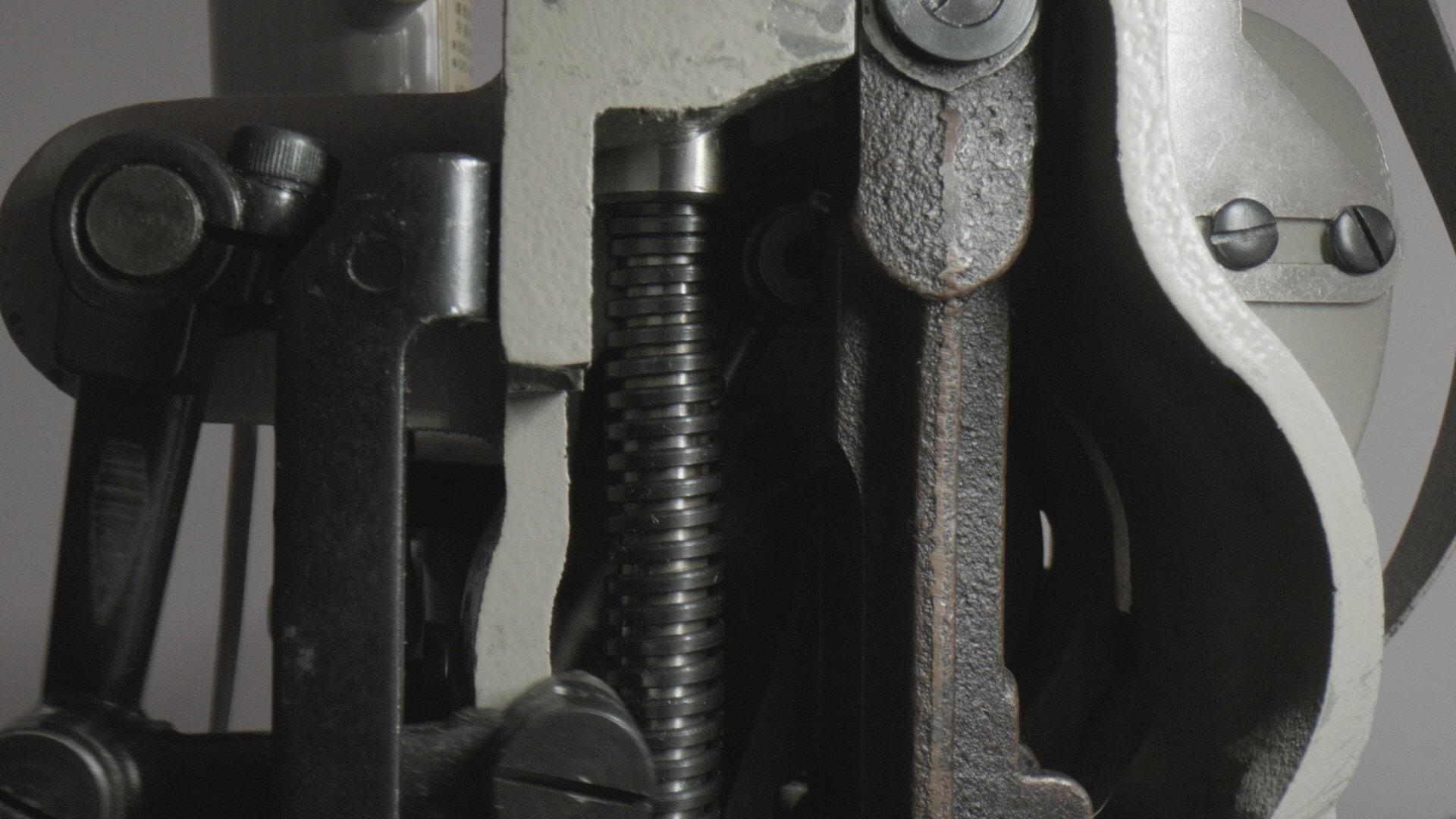 Tailored Treasure_00_00_00_00.jpg