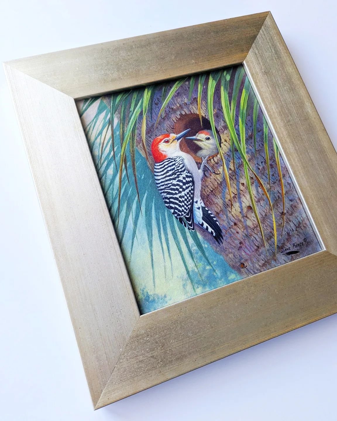 Lovely little woodpecker painting with a wide, contemporary moulding from Engelsen Frame. The warm silver finish looks great with the painting's tropical color palette.
.
.
.
.
.
#thegiltcomplex #customframıng #fineartframing #fineartpainting #finear