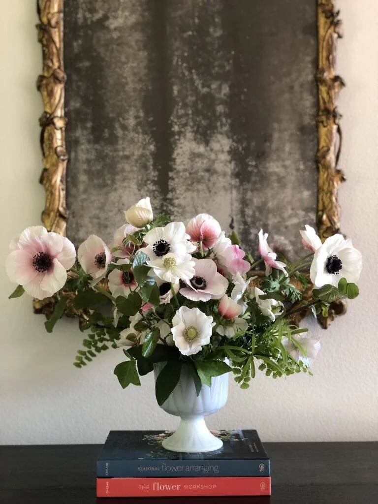 Anemone.jpg