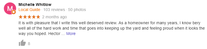 review4.PNG