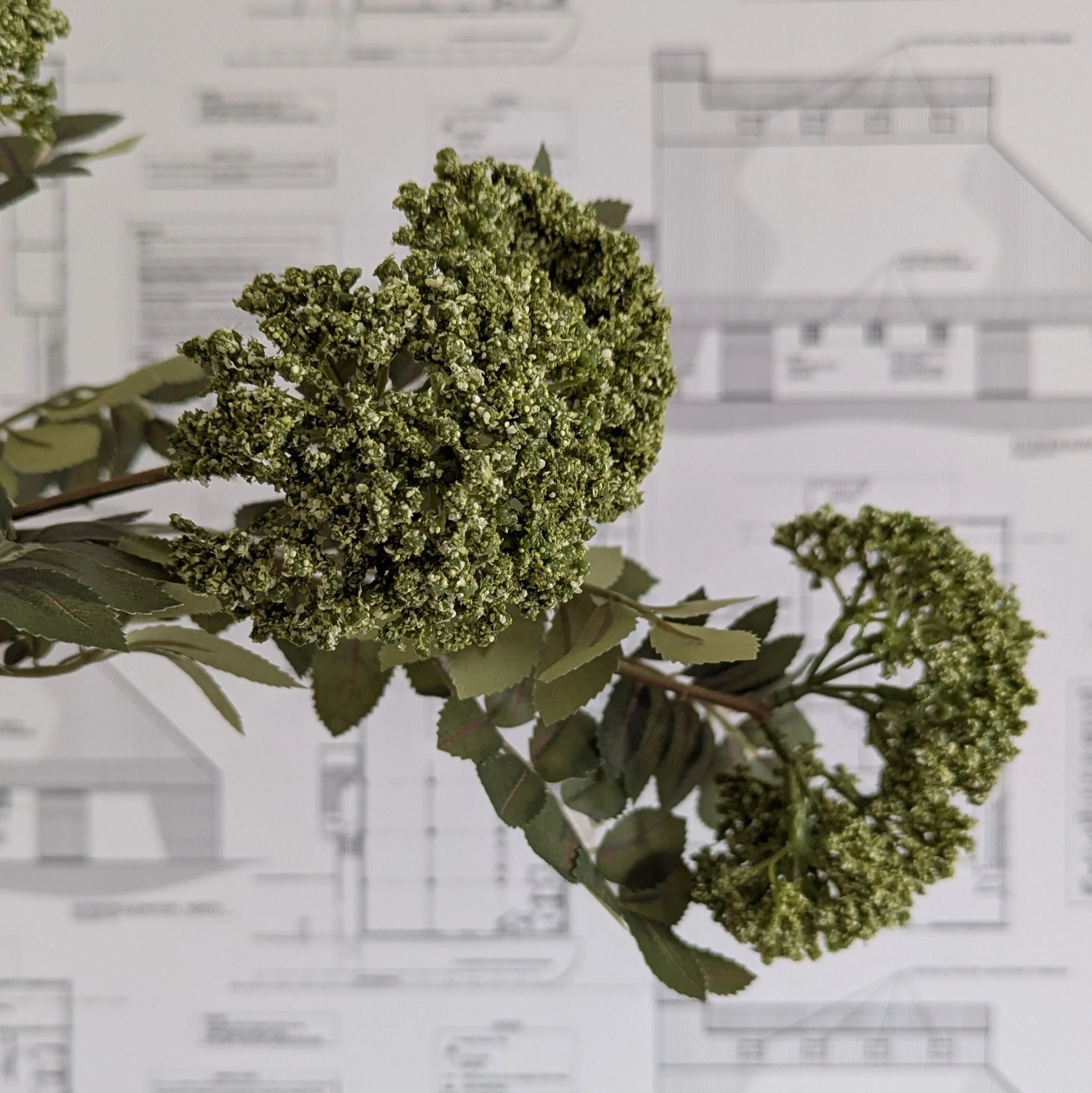 Sourced - Faux Branch
