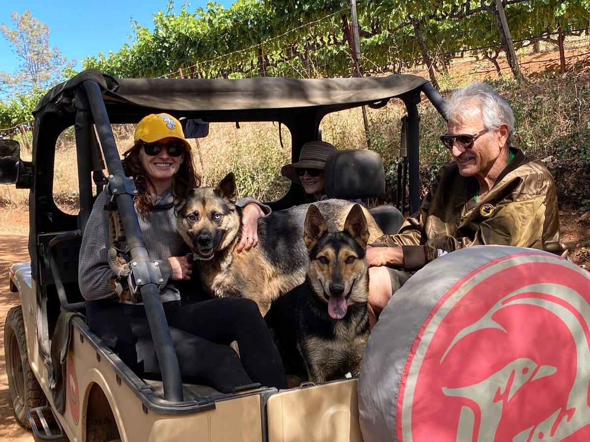 @oinekul33 working double time as photographer and tour guide for @kathleeenio and her family at @greenandredvineyard