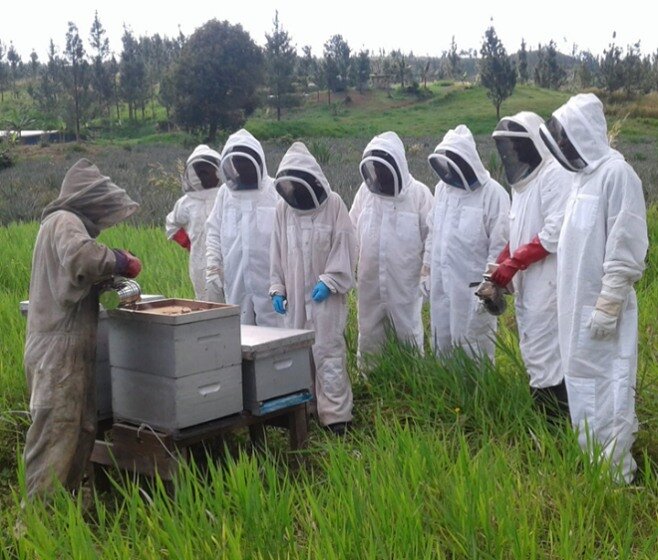 Our website is live!!
We are so excited to share our new website. 
Link in bio
https://www.beesforsustainablelivelihoods.org/

Here you will find a wealth of resources on beekeeping, including quizzes, videos, fact sheets and beekeeping guides. 
Stay