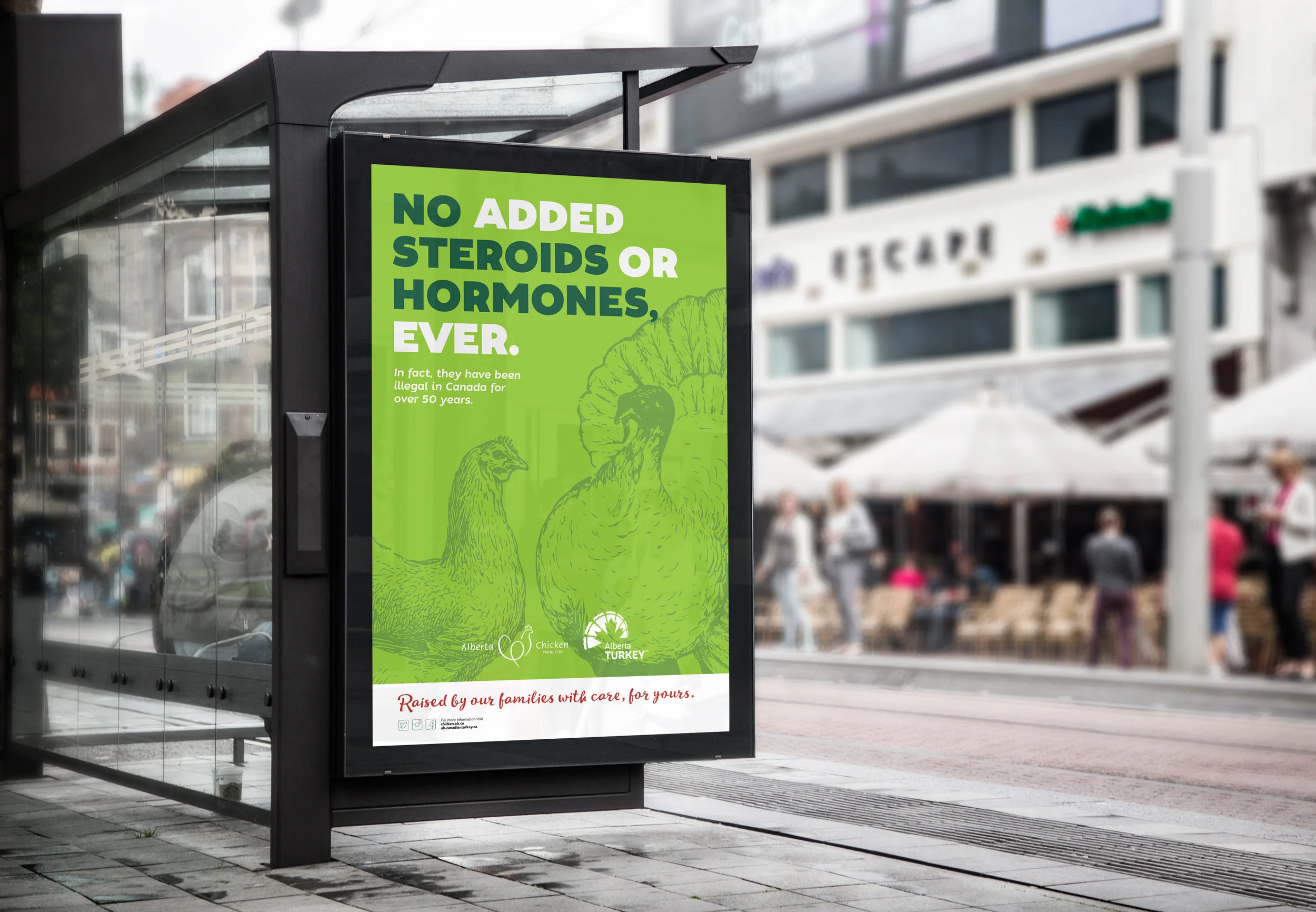 Bus Stop Billboard MockUp-ACP.jpg