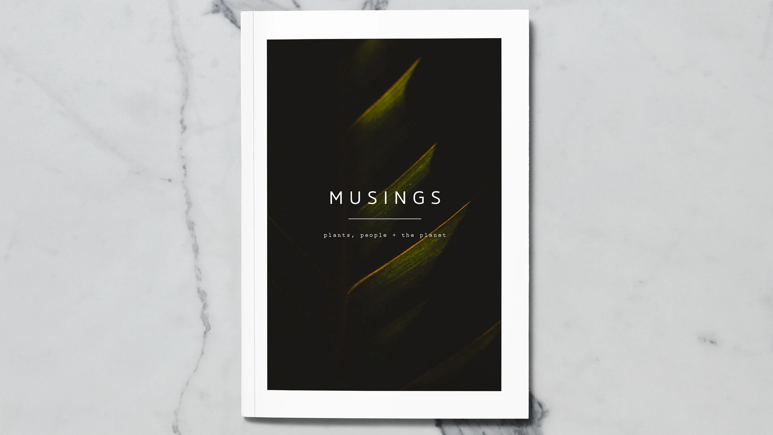 musing-mockup-1 copy.jpg