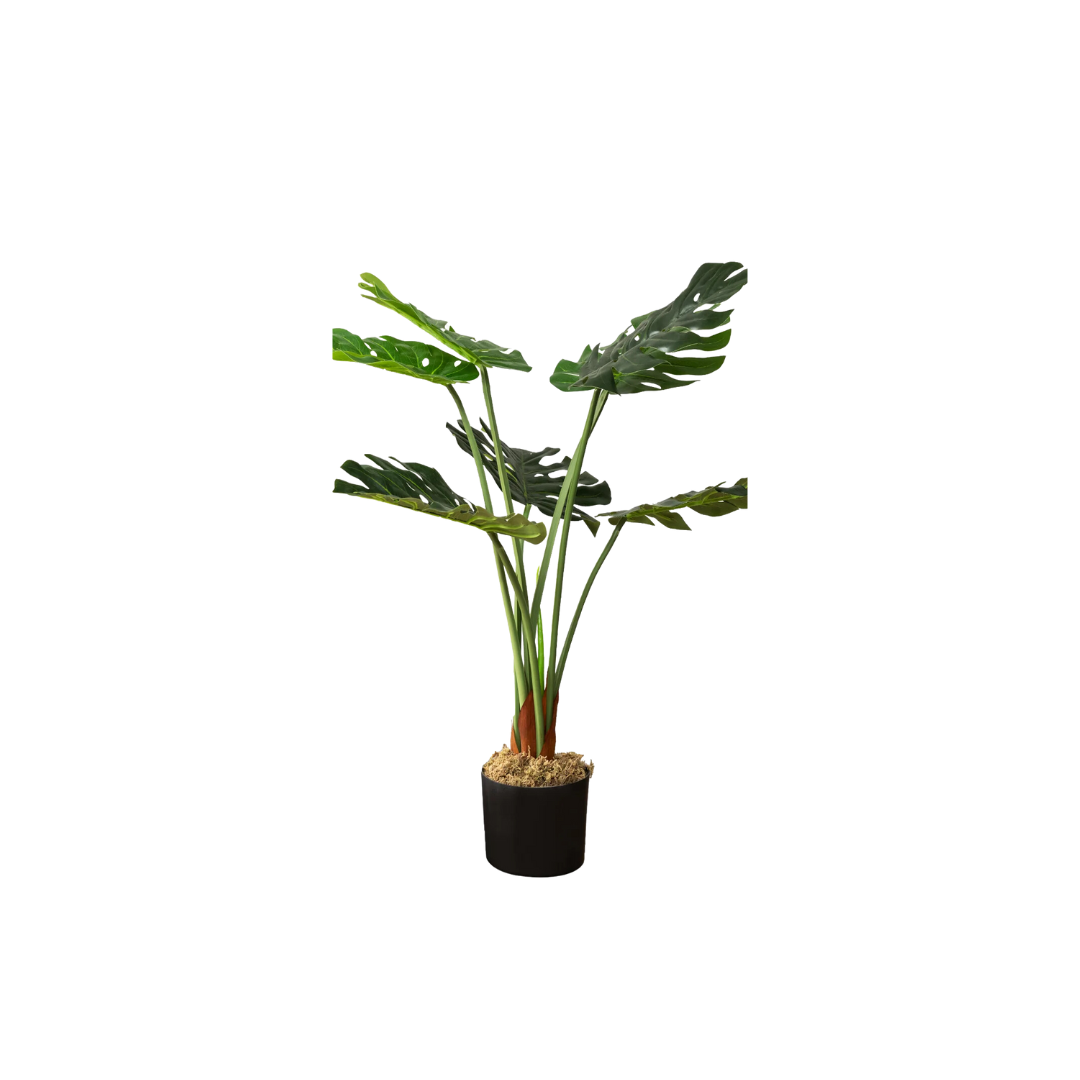 Rent Faux 4ft Monstera