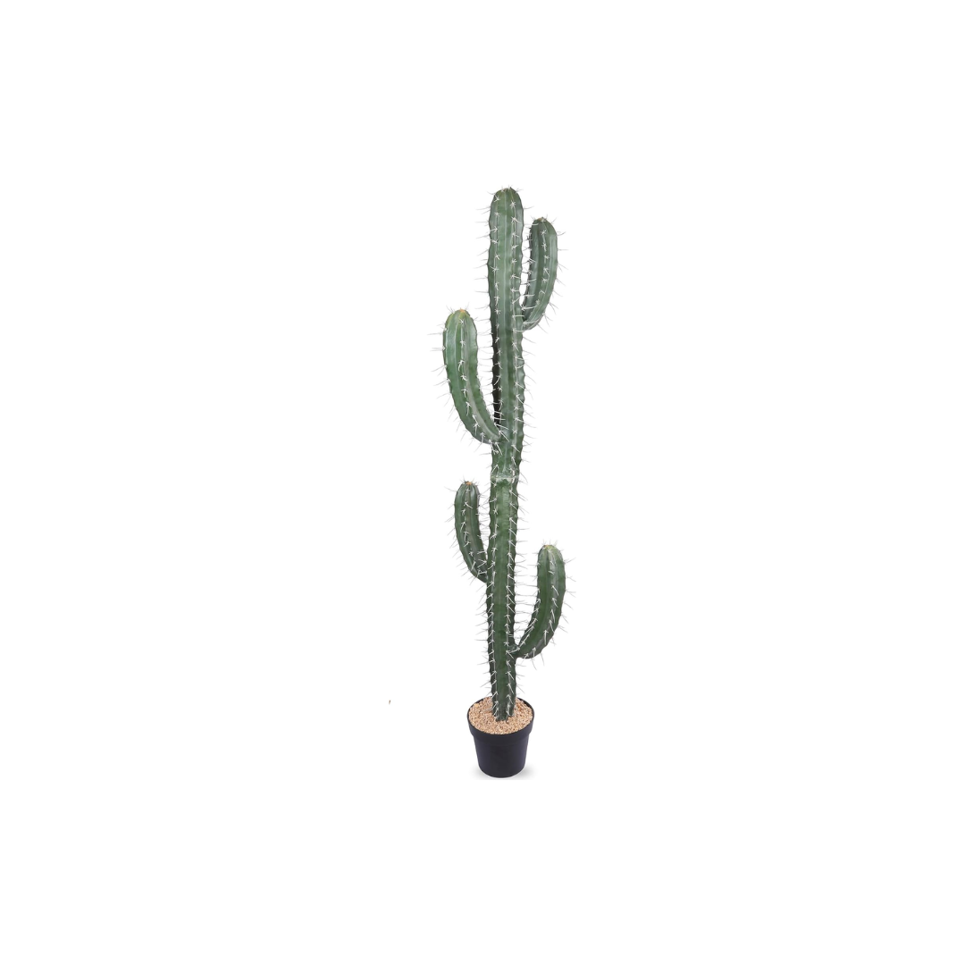 Rent Faux Cactus 62"