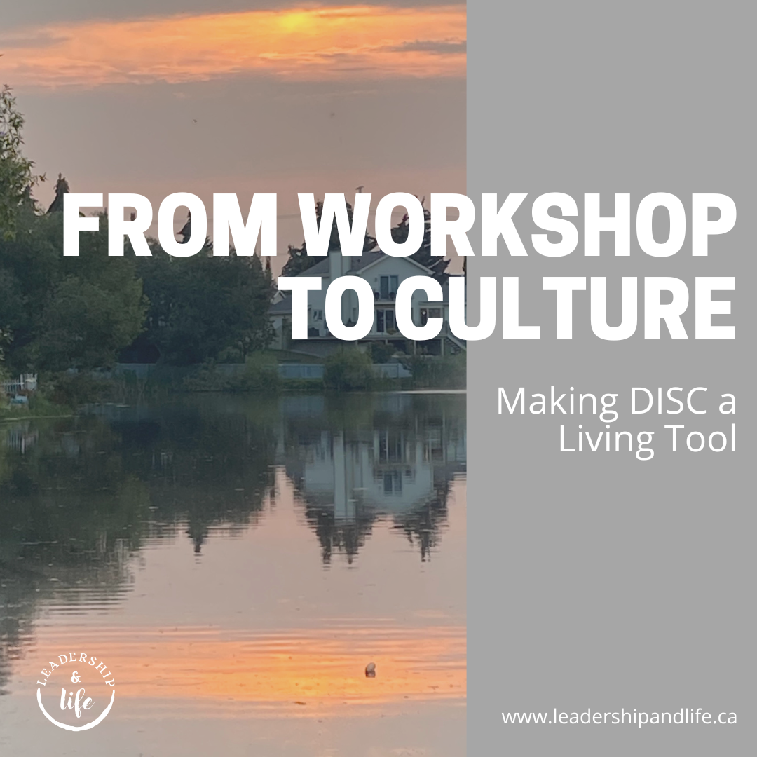 From Workshop to Culture: Making DISC a Living Tool