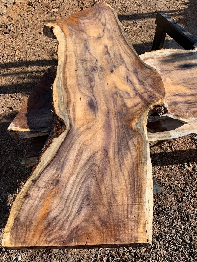 Mesquite Slab