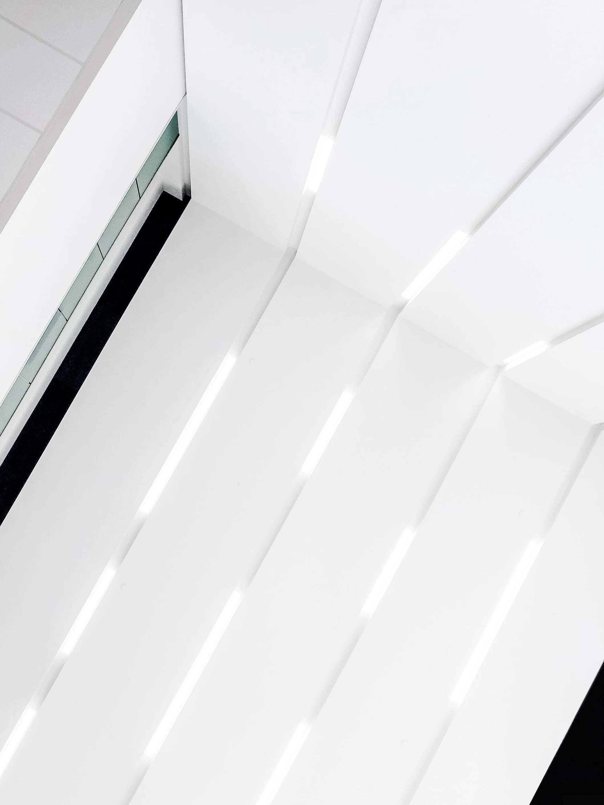scott-webb-tMuYJL96A_I-unsplash.jpg