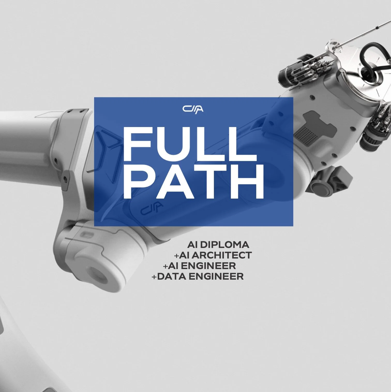Inteligencia Artificial/Data Scientist - Full Path - Virtual — CII.IA ...
