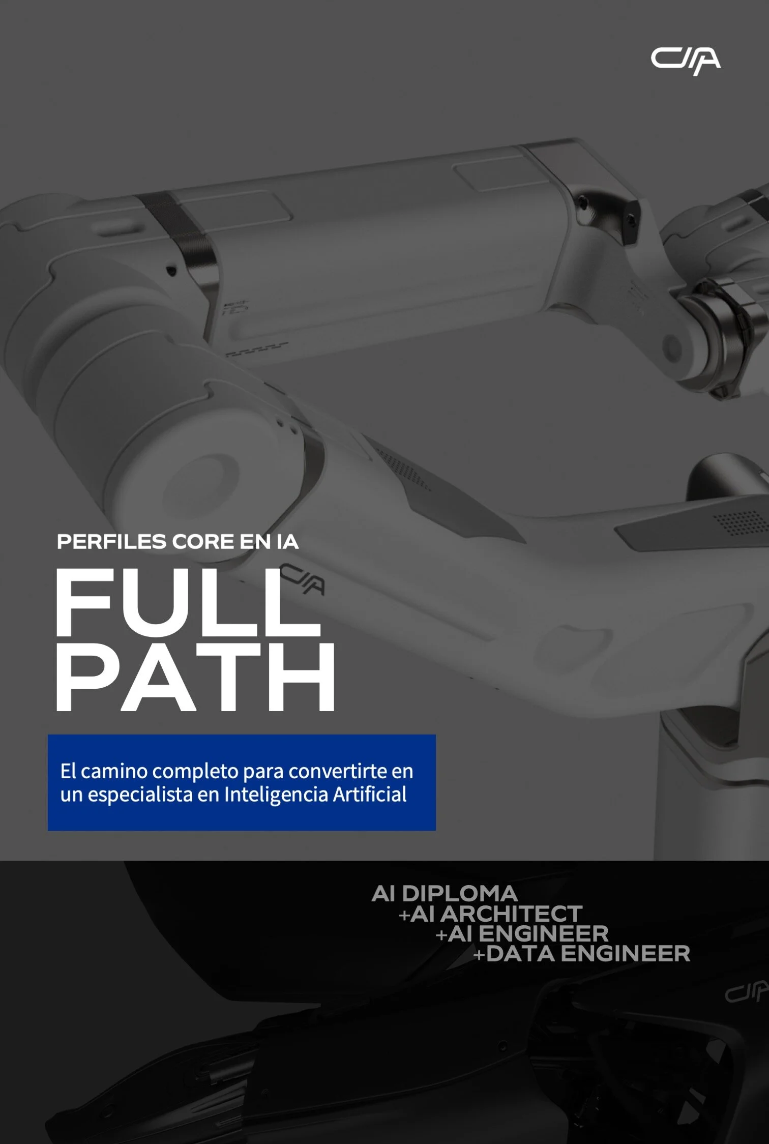 AI - Full Path - Virtual (MXN)