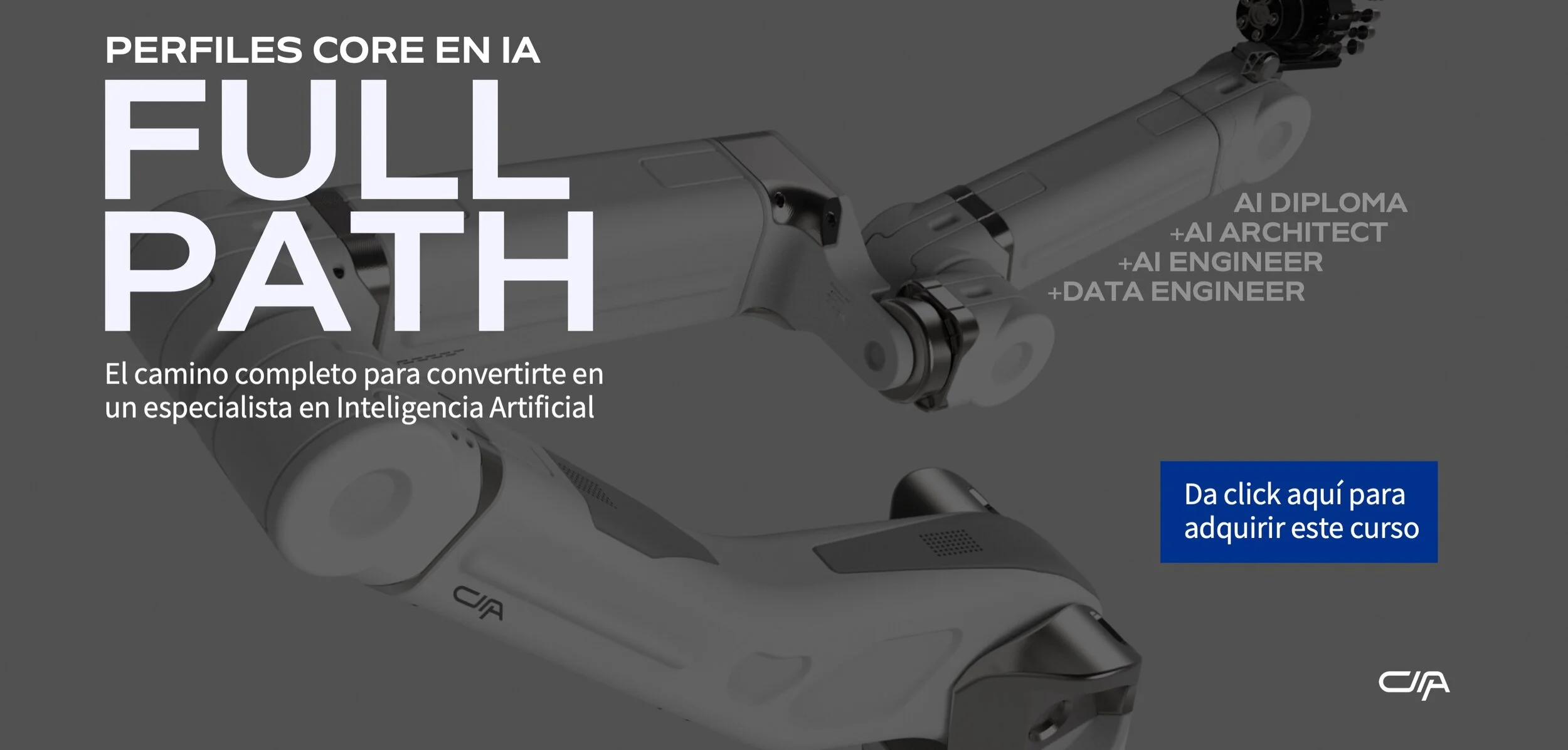 AI - Full Path - Virtual (copia)