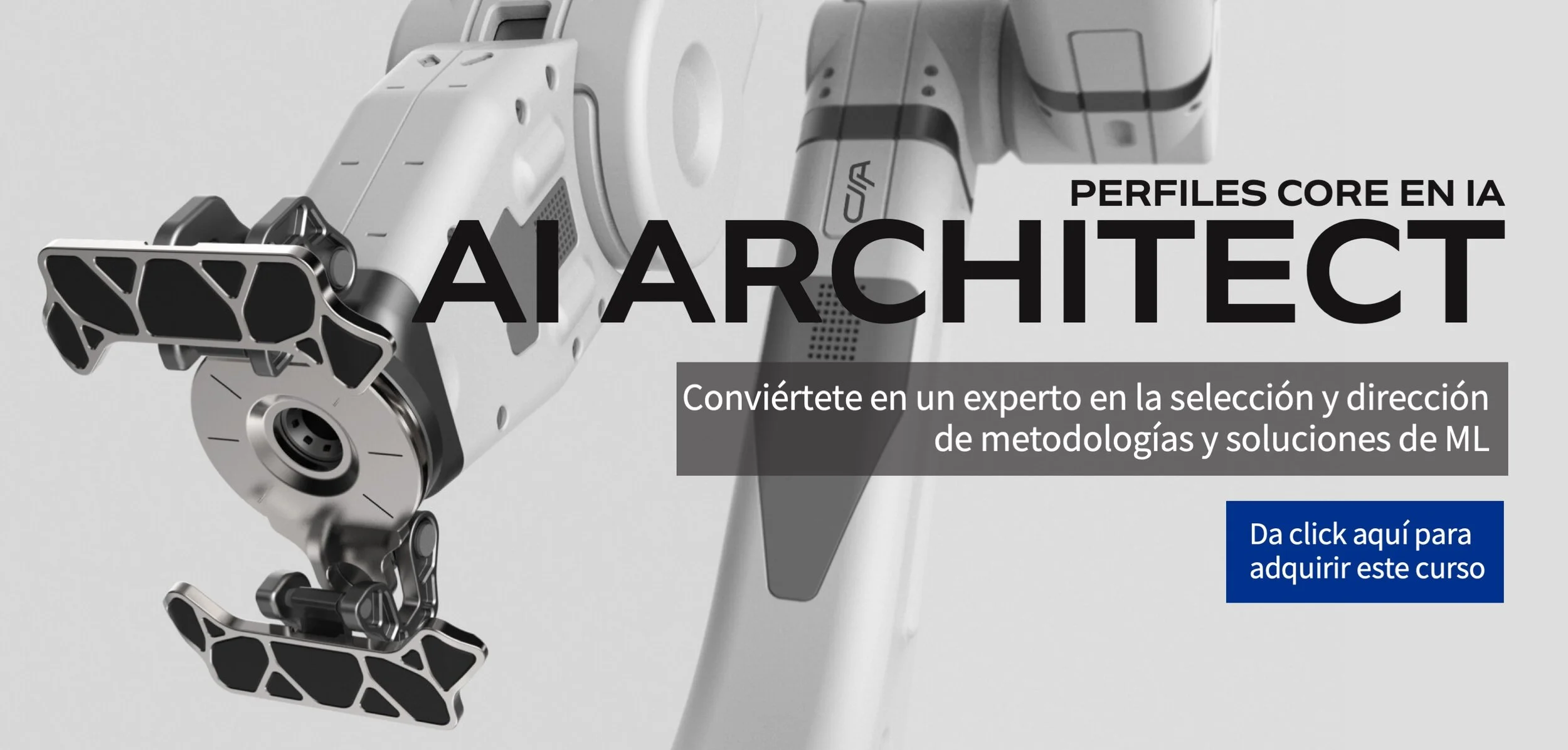 AI Architect - Virtual (copia)