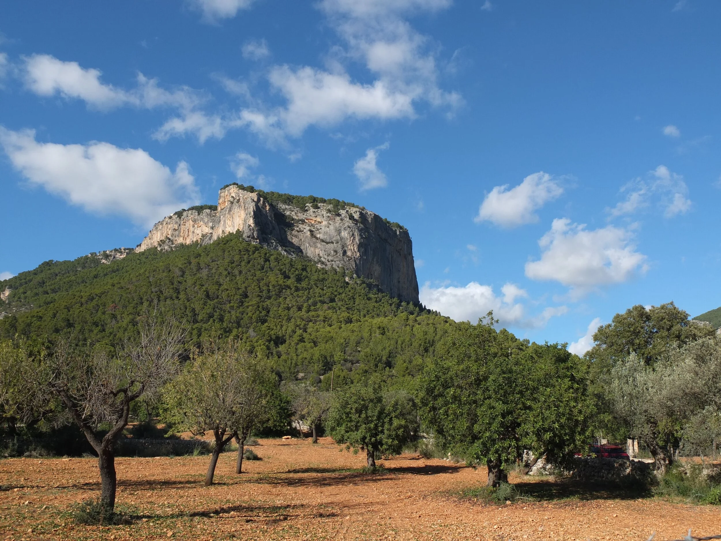 DSCF7069.jpg
