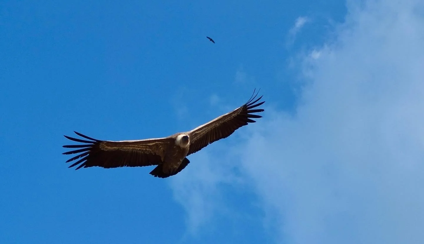 Port Andratx to Sant Elm - Tuesday 11th