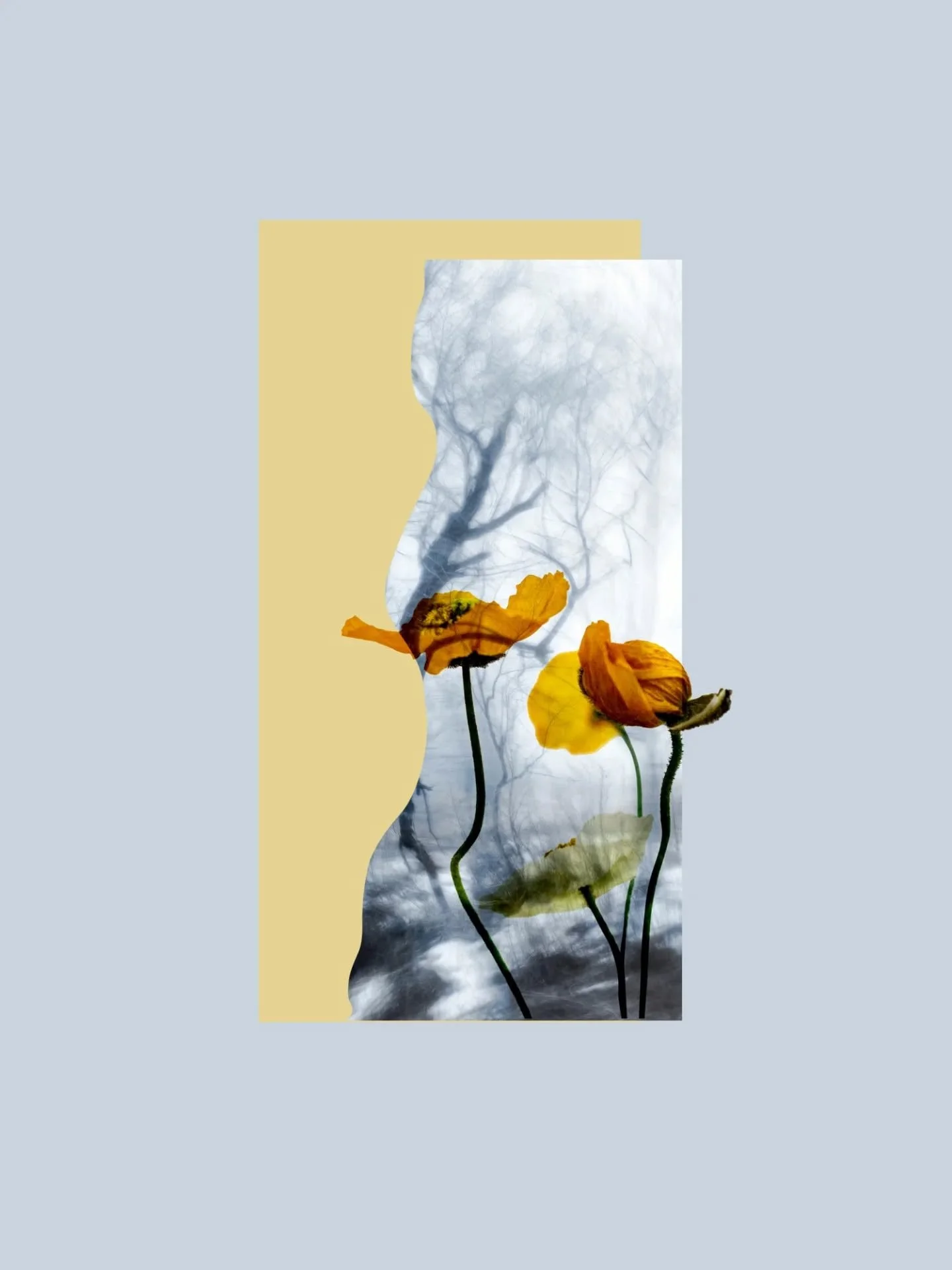 When Spring steps in the city ✨
Digital media 

#visualartists #mixedmediaartwork #digitalcollageart #originalartforsale #workinprogressart #collagedesign #originalartworks #collageonpaper