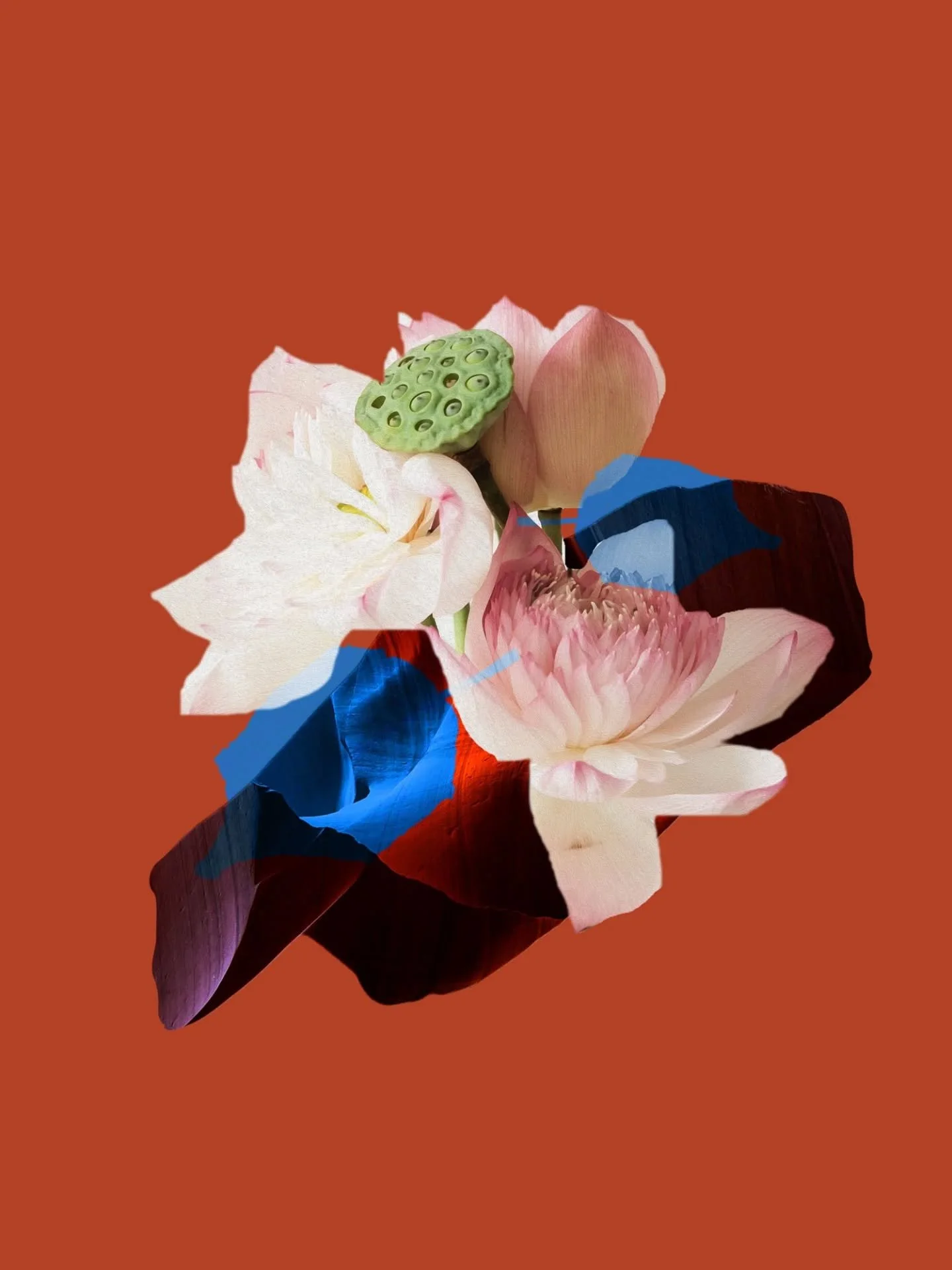 Floral vibe for the best days to come 🌸
Digital media 

#visualartwork #availableart #artinprogress #artforsalebyartists #visualarts