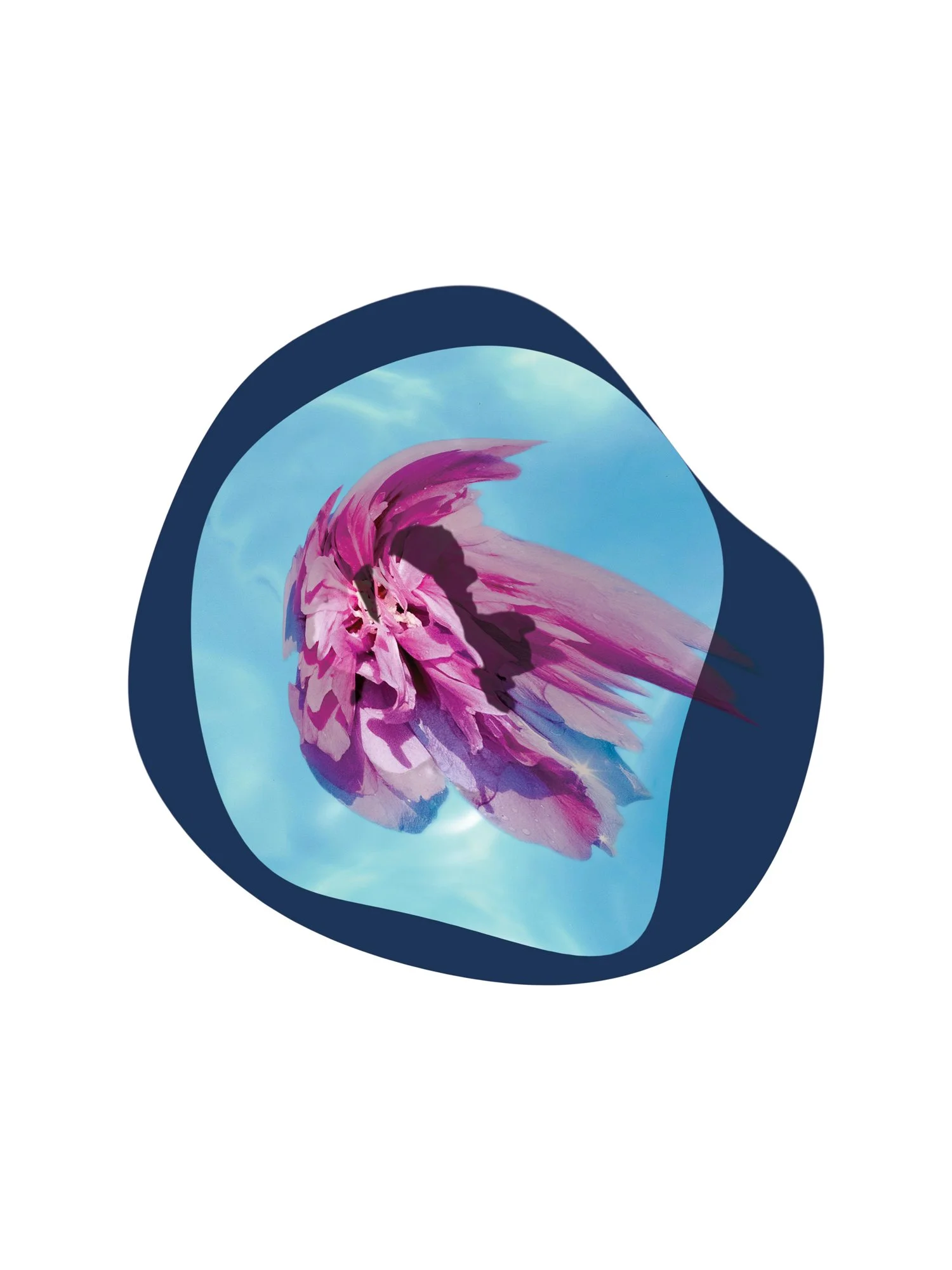 Floating-flower.jpg