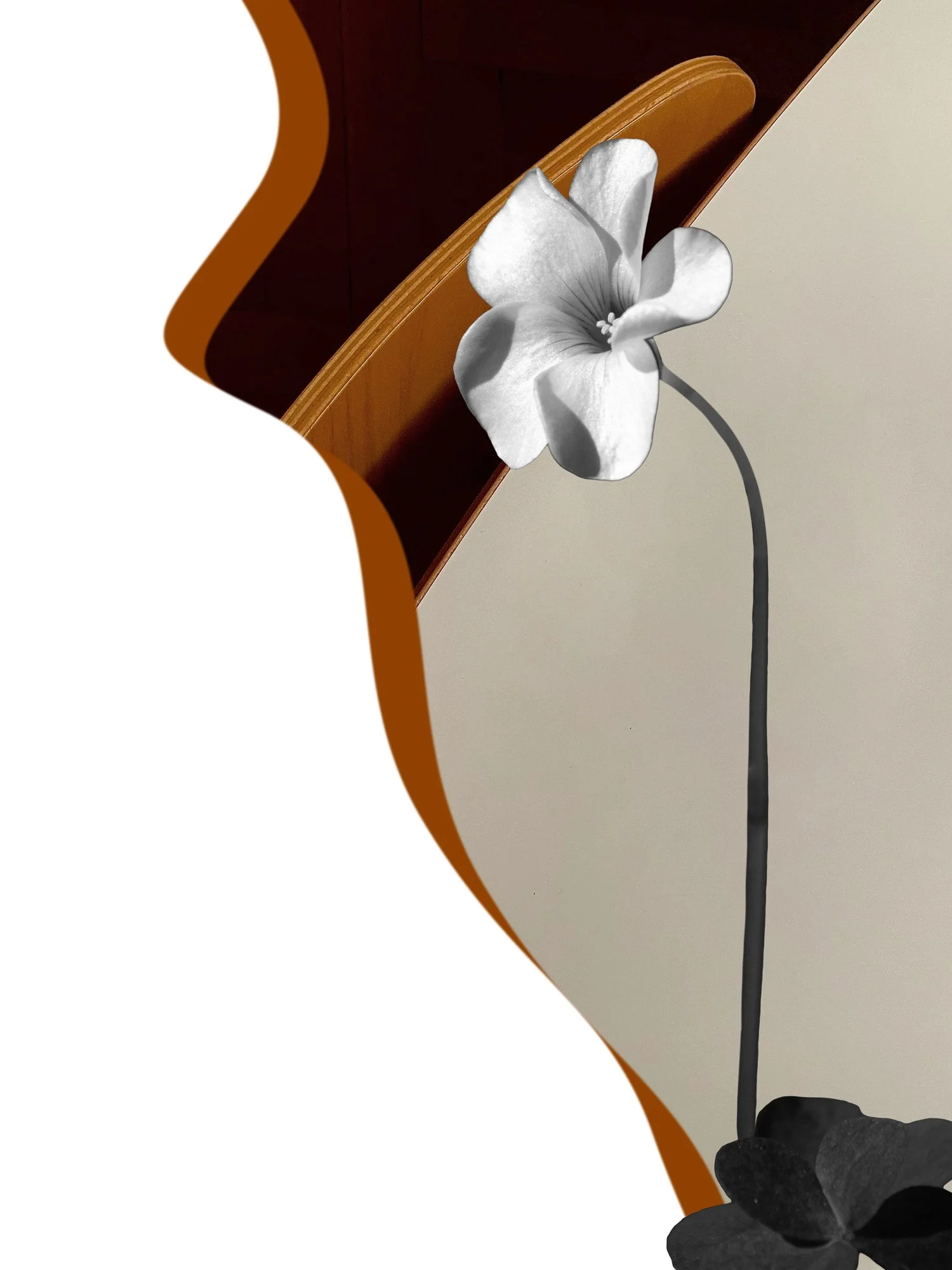 In-reflection.jpg