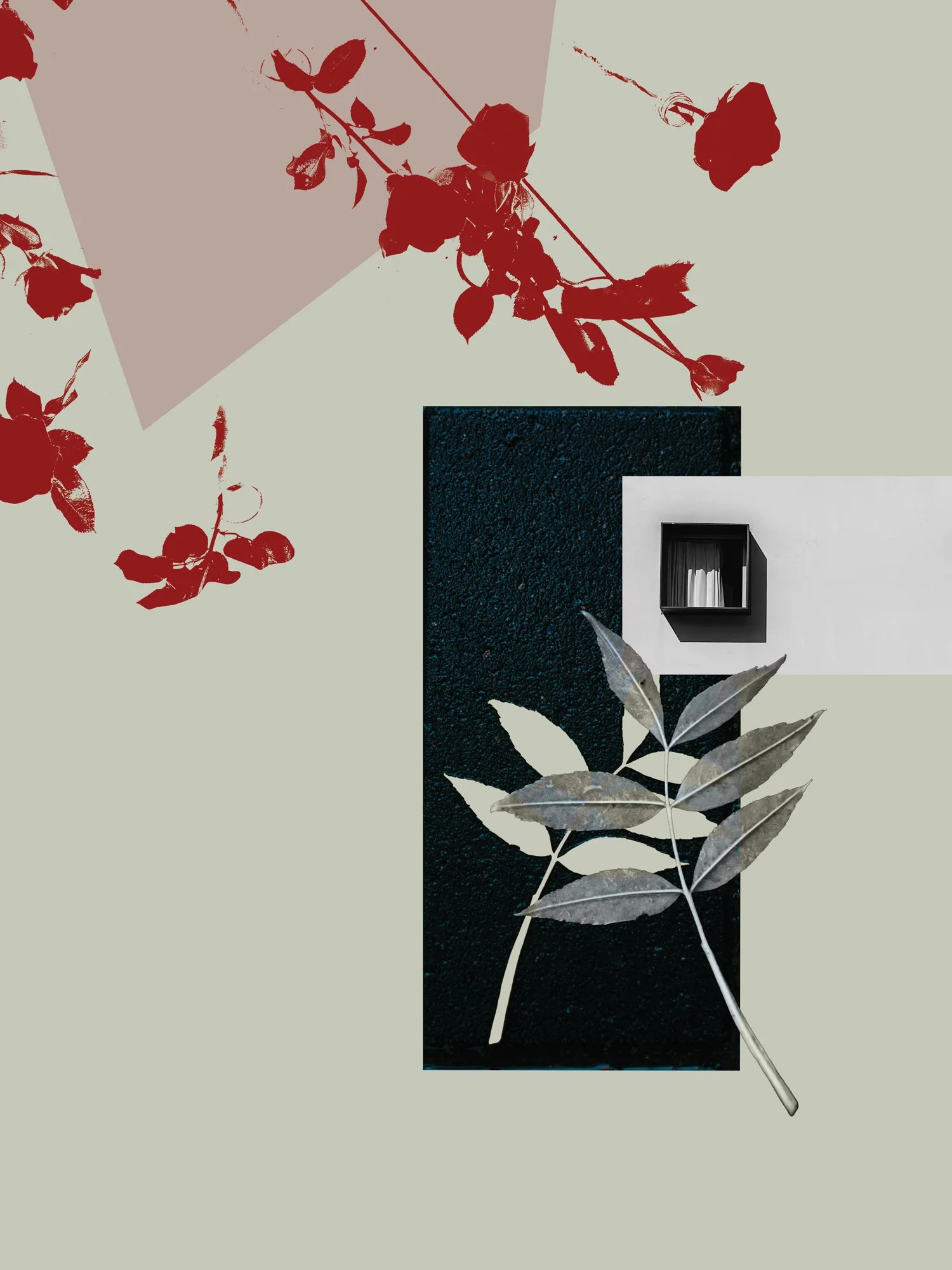 In-full-bloom.jpg