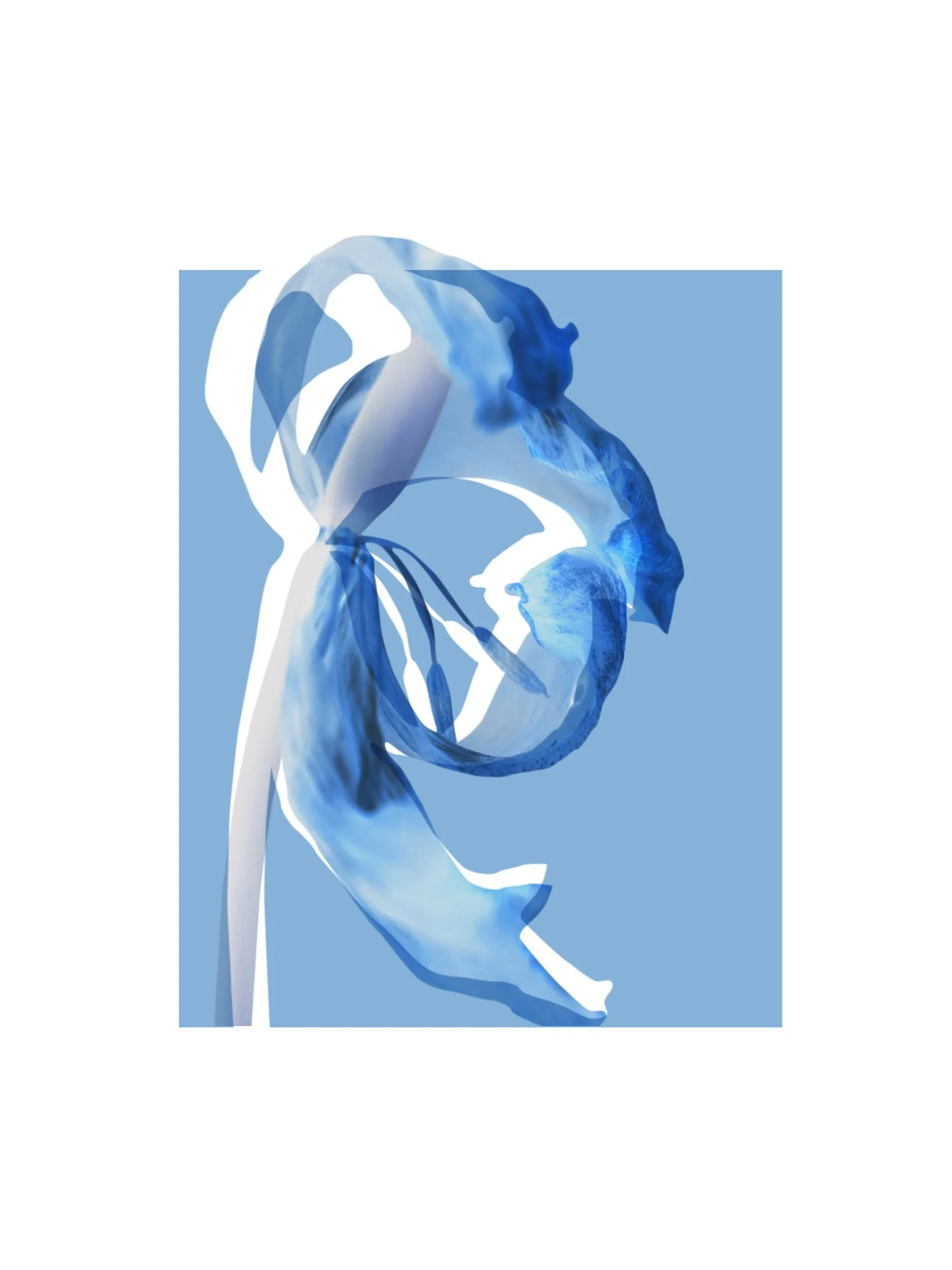 Summer-floral.jpg