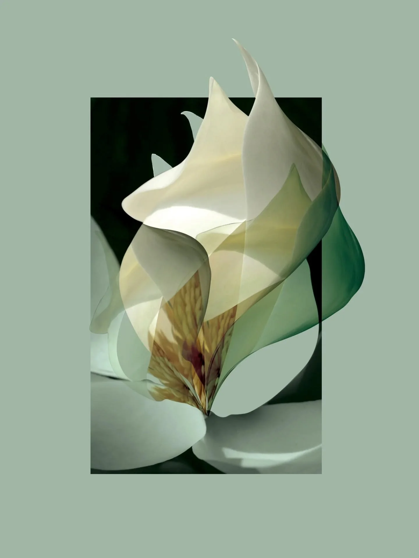 Soft and tender is my approach in my art today. Take time, observe things around, choose what feels right. Experience shows that forcing something doesn't necessarily bring the best result.

First composition in this series appeared naturally, if you