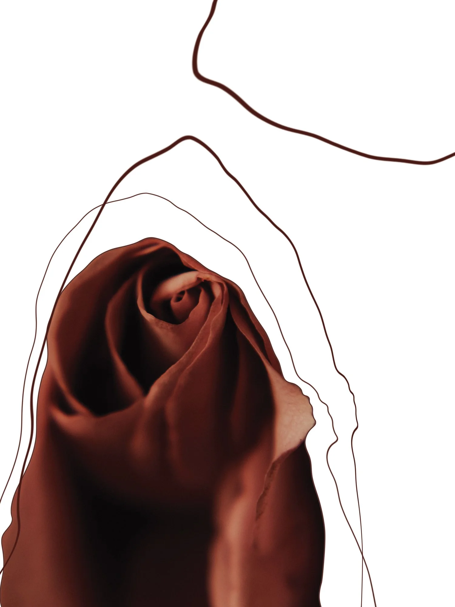 Graphic-observation-1.jpg