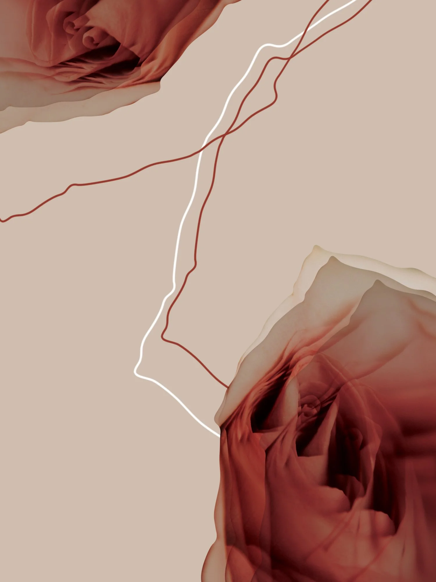 Graphic-observation-9.jpg