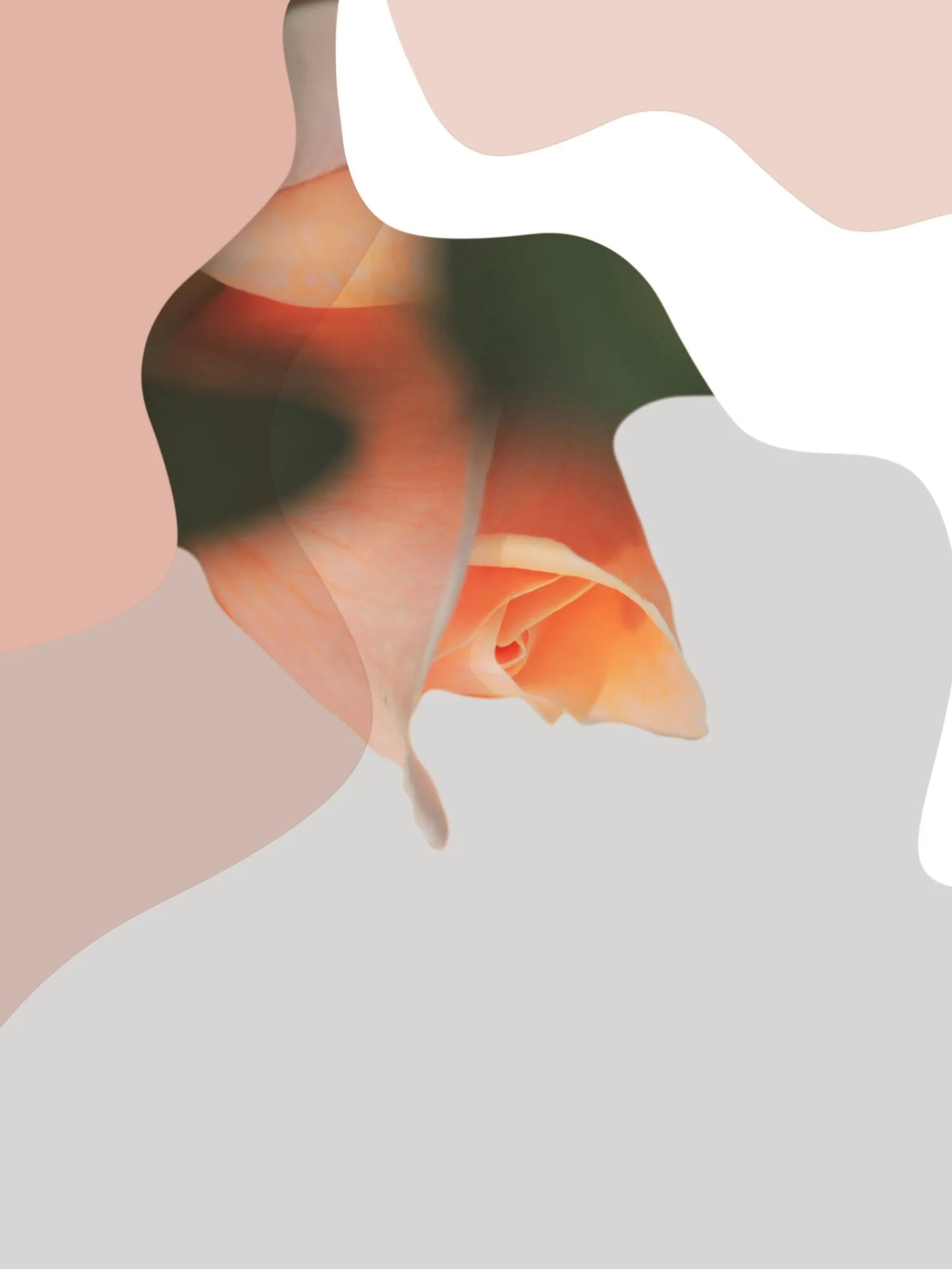 Graphic-observation-13.jpg
