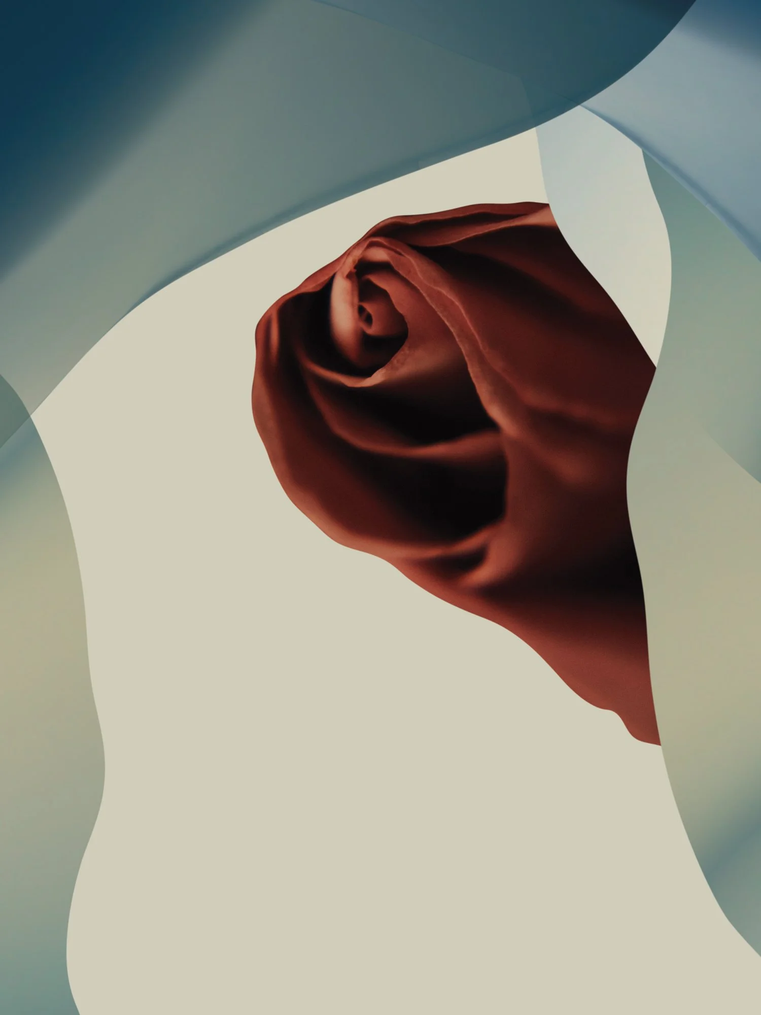 Graphic-observation-26.jpg