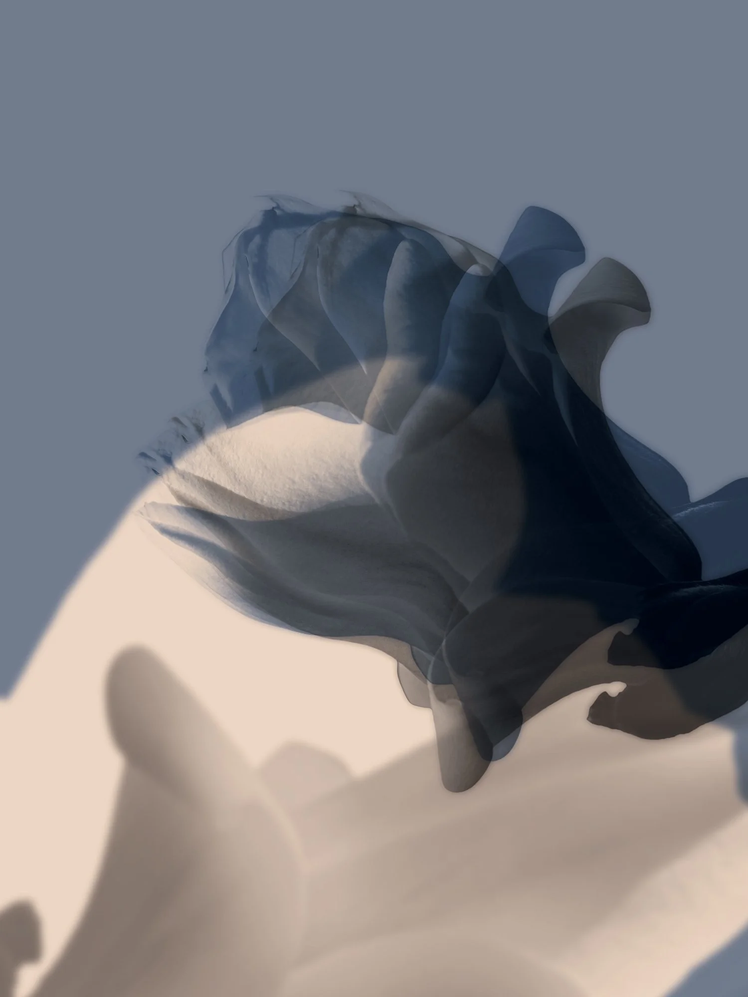 Graphic-observation-45.jpg