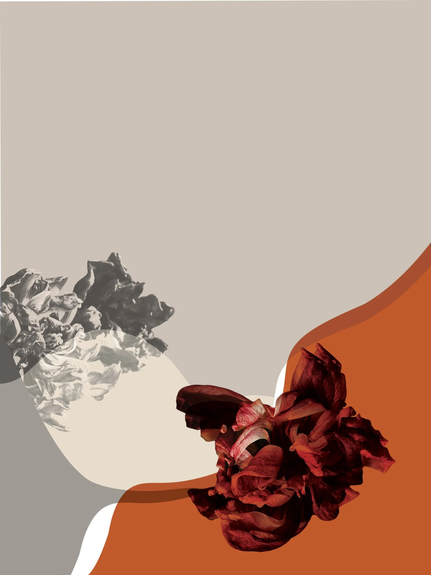 Observation-33.jpg