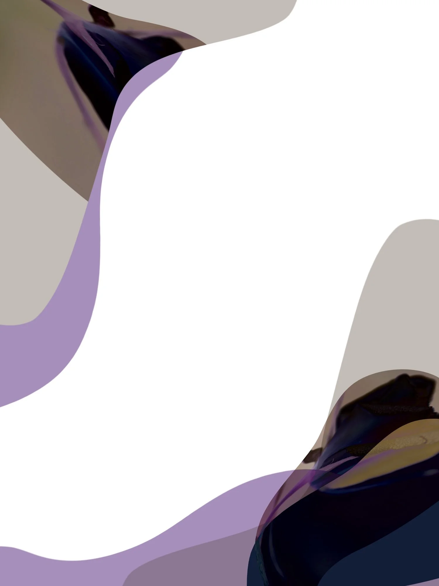 Graphic-observation-21.jpg