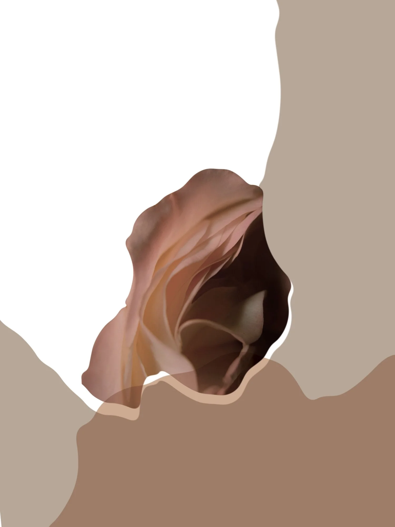 Graphic-observation-7.jpg