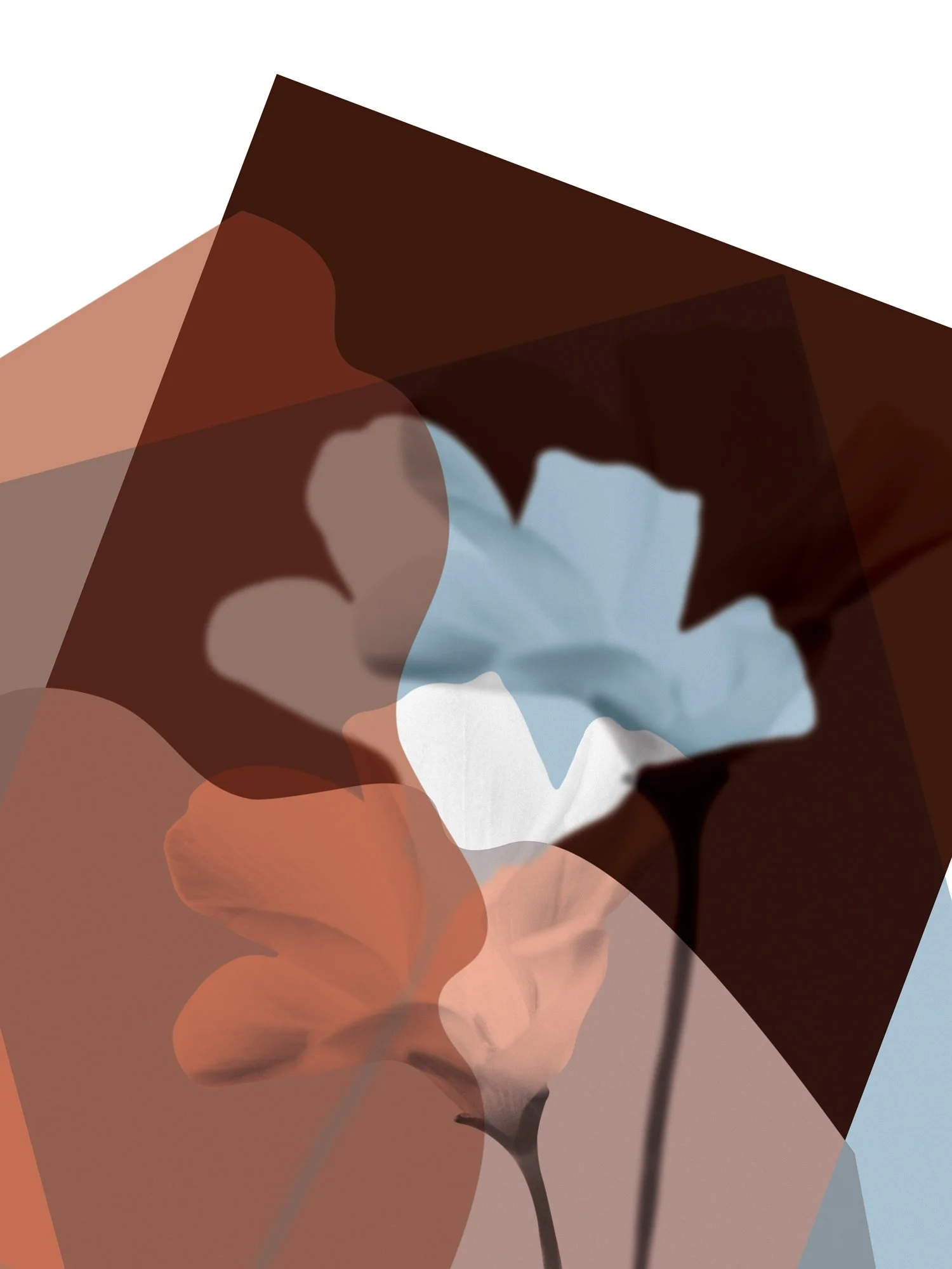 Graphic-observation-46.jpg