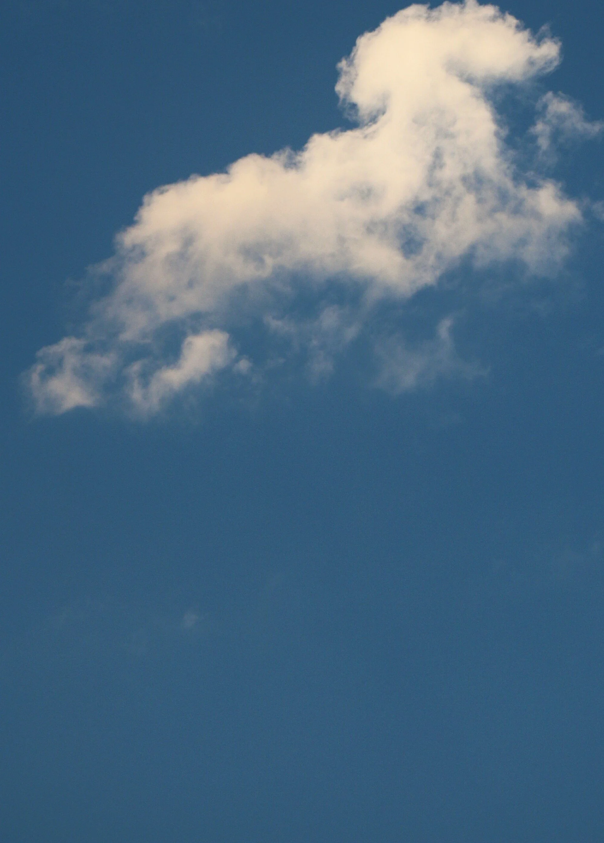 Ciel.jpg