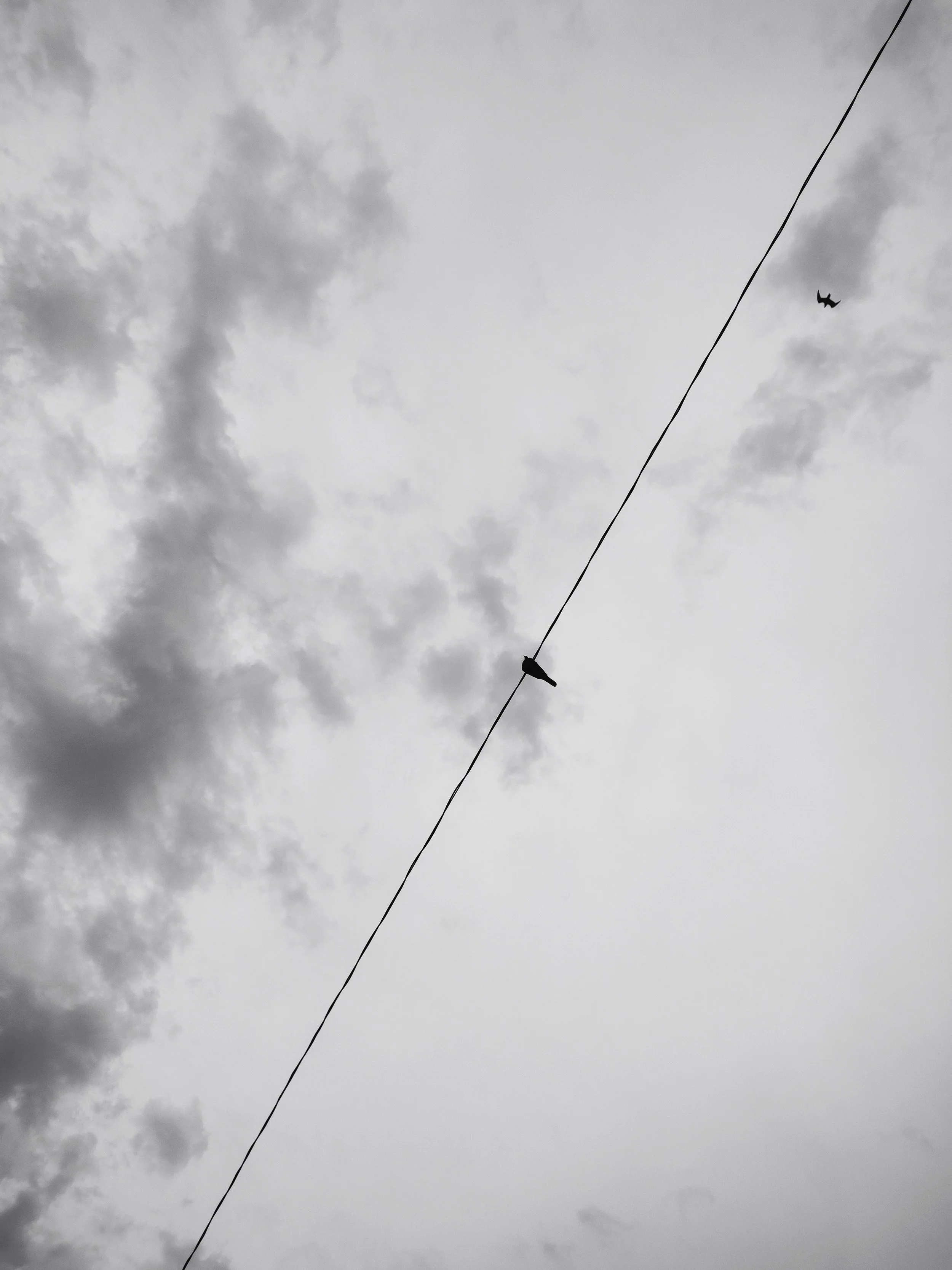 pexels-ahmet-kayra-13356444.jpg