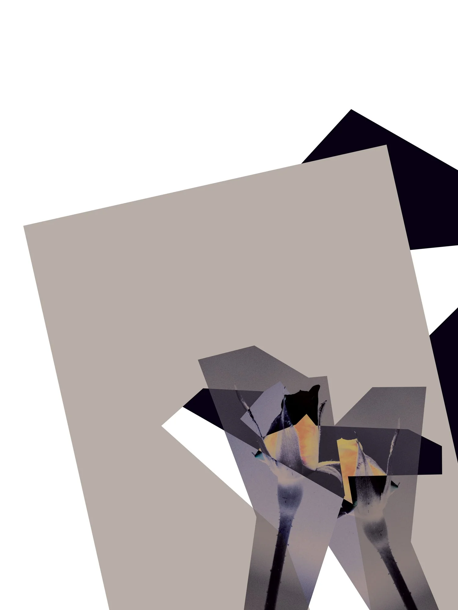 Observation-18.jpg