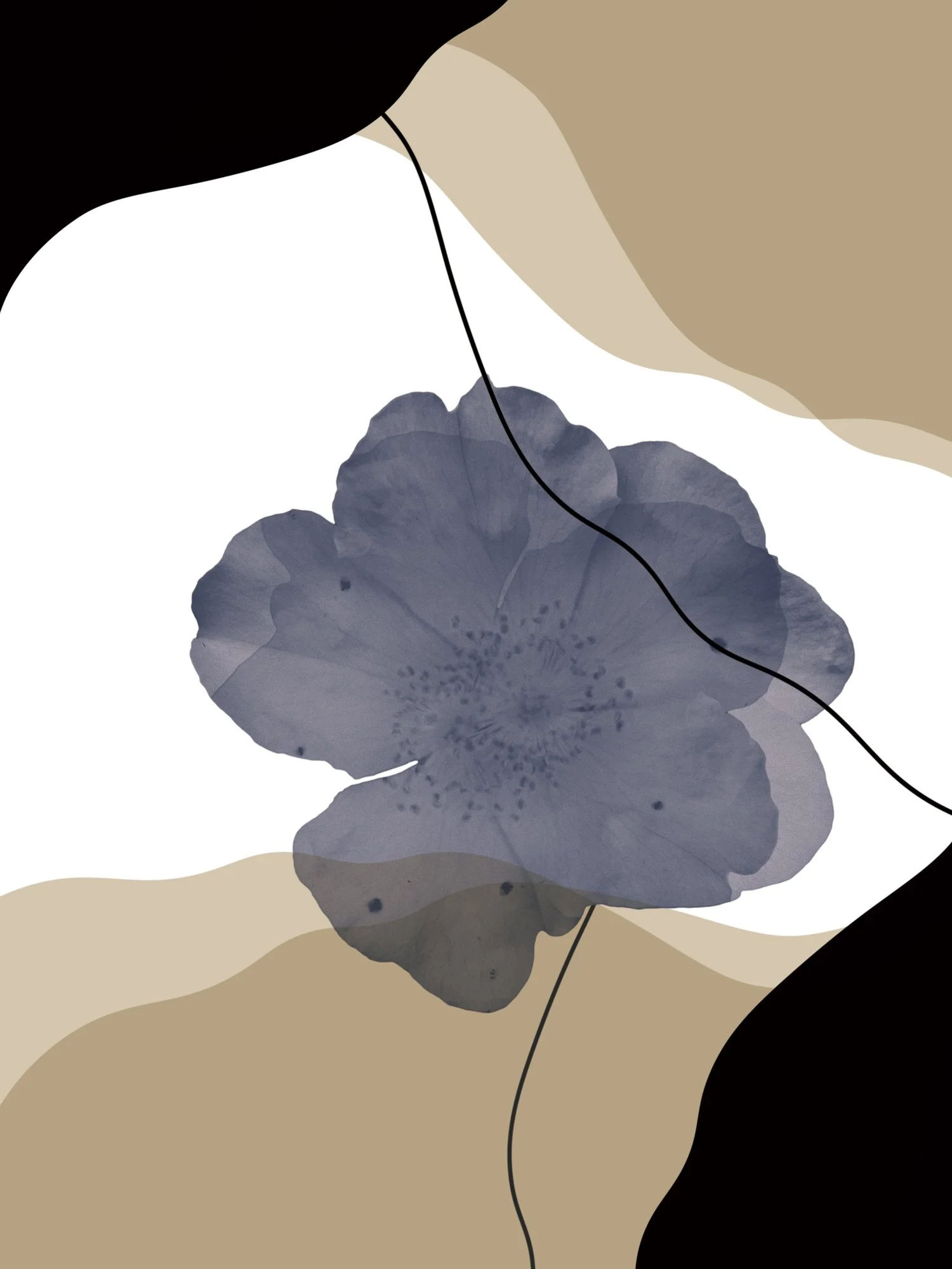 Graphic-observation-31.jpg