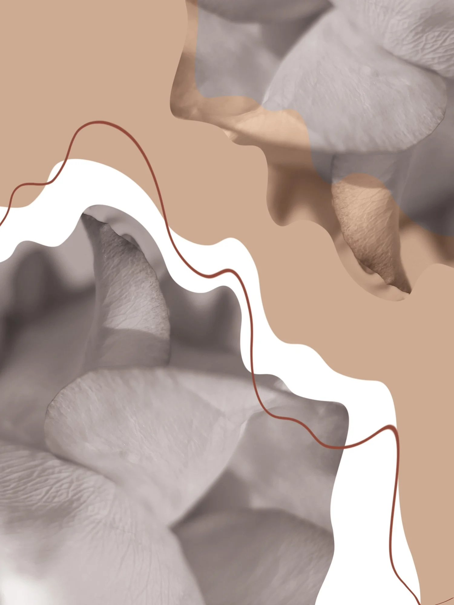 Graphic-observation-8.jpg