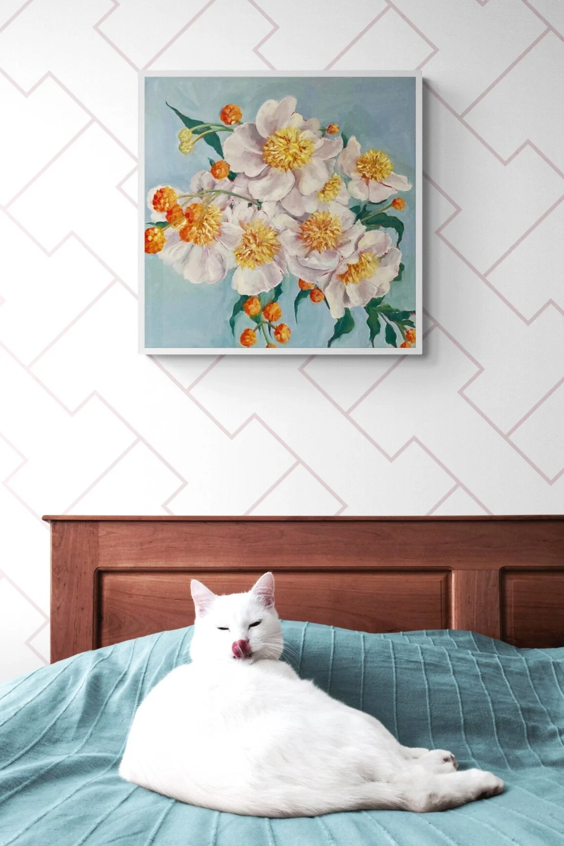 cute-white-cat-lying-on-bed%25281%2529.jpg