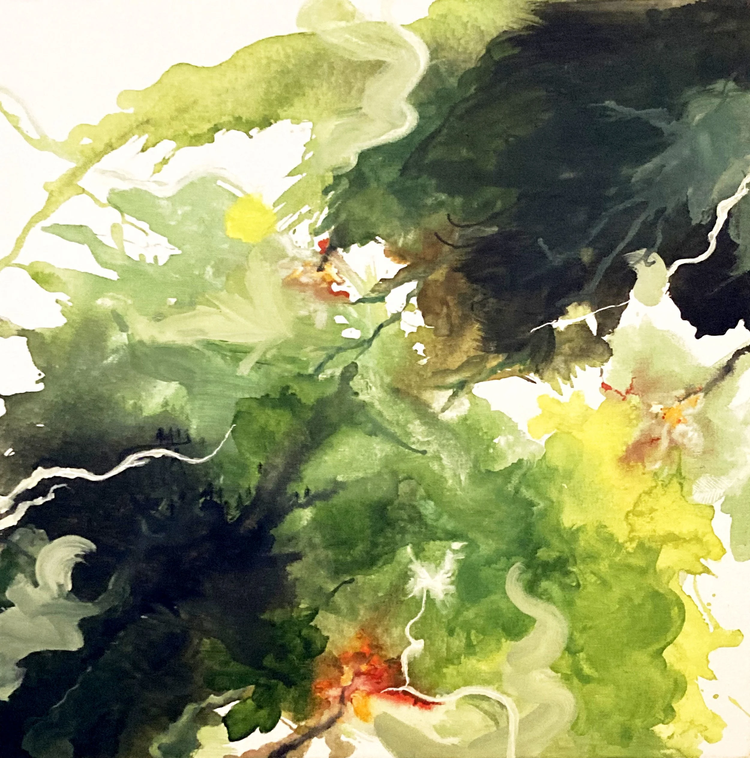 Forest Flow.jpg